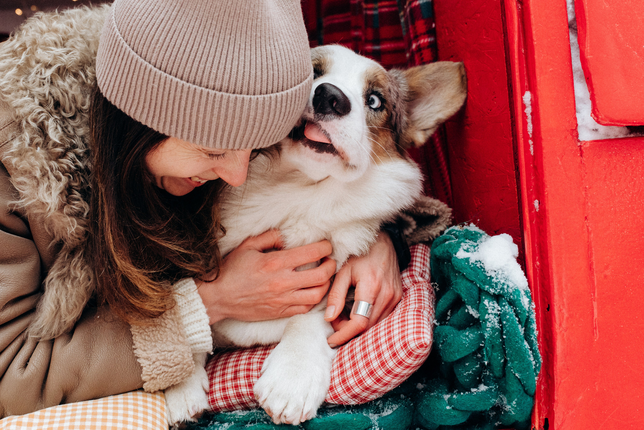 Маша и Дэф. Фотограф анималист в Москве Ольга Агушева