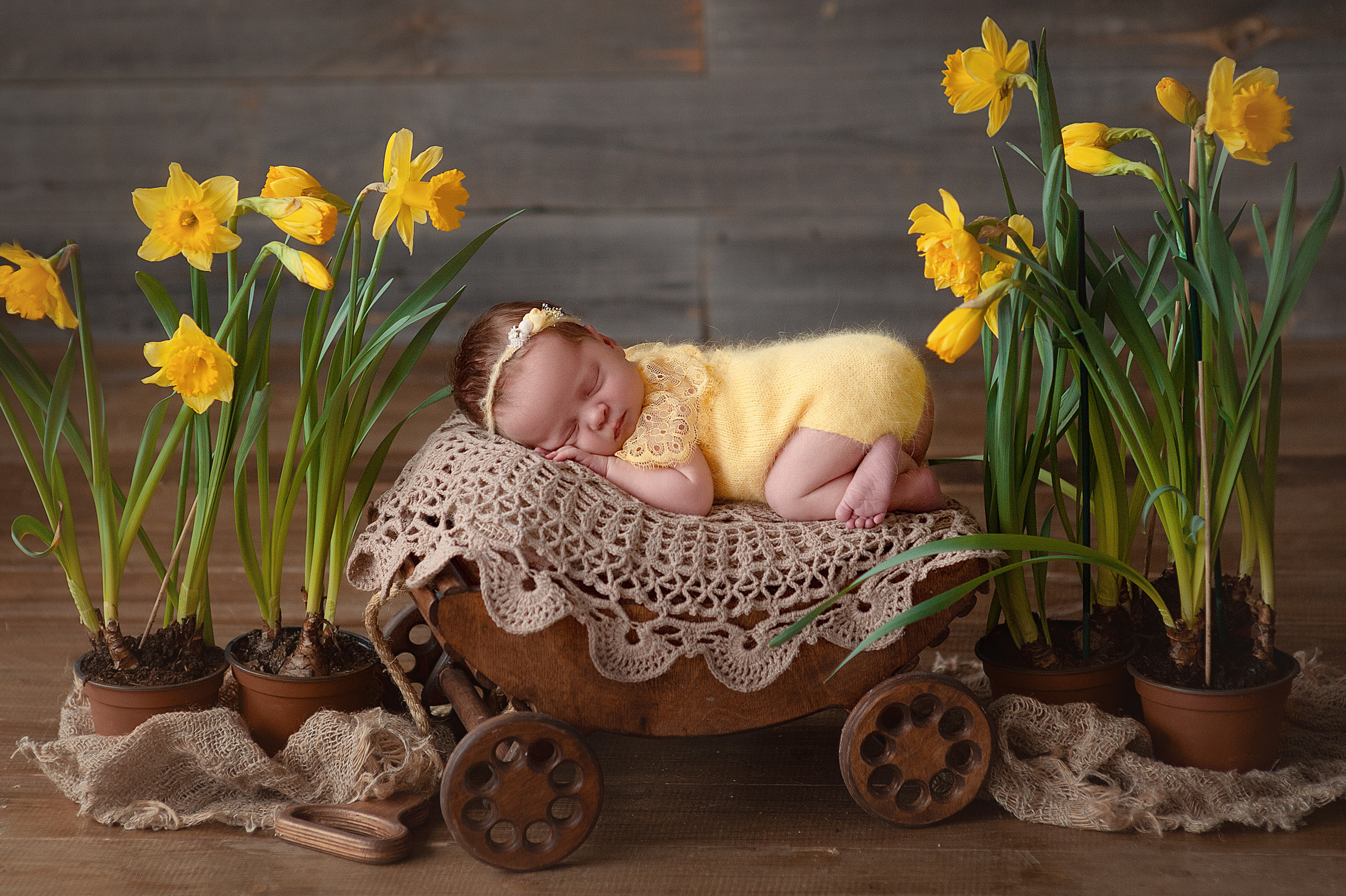 Новорождённые. Фотограф новорожденных в Ростове-на-Дону Наталья Ткаченко