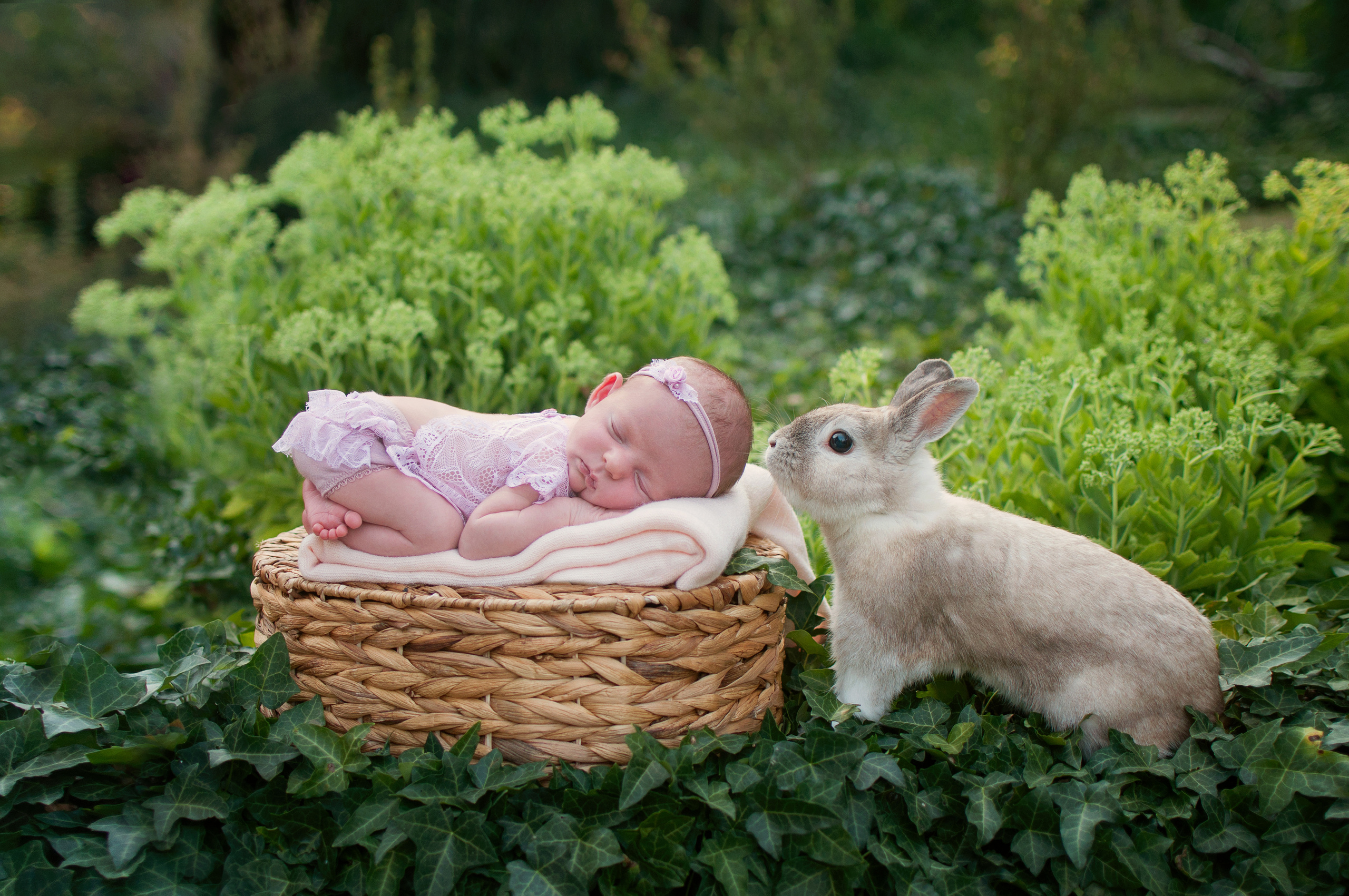 Новорождённые. Фотограф новорожденных в Ростове-на-Дону Наталья Ткаченко
