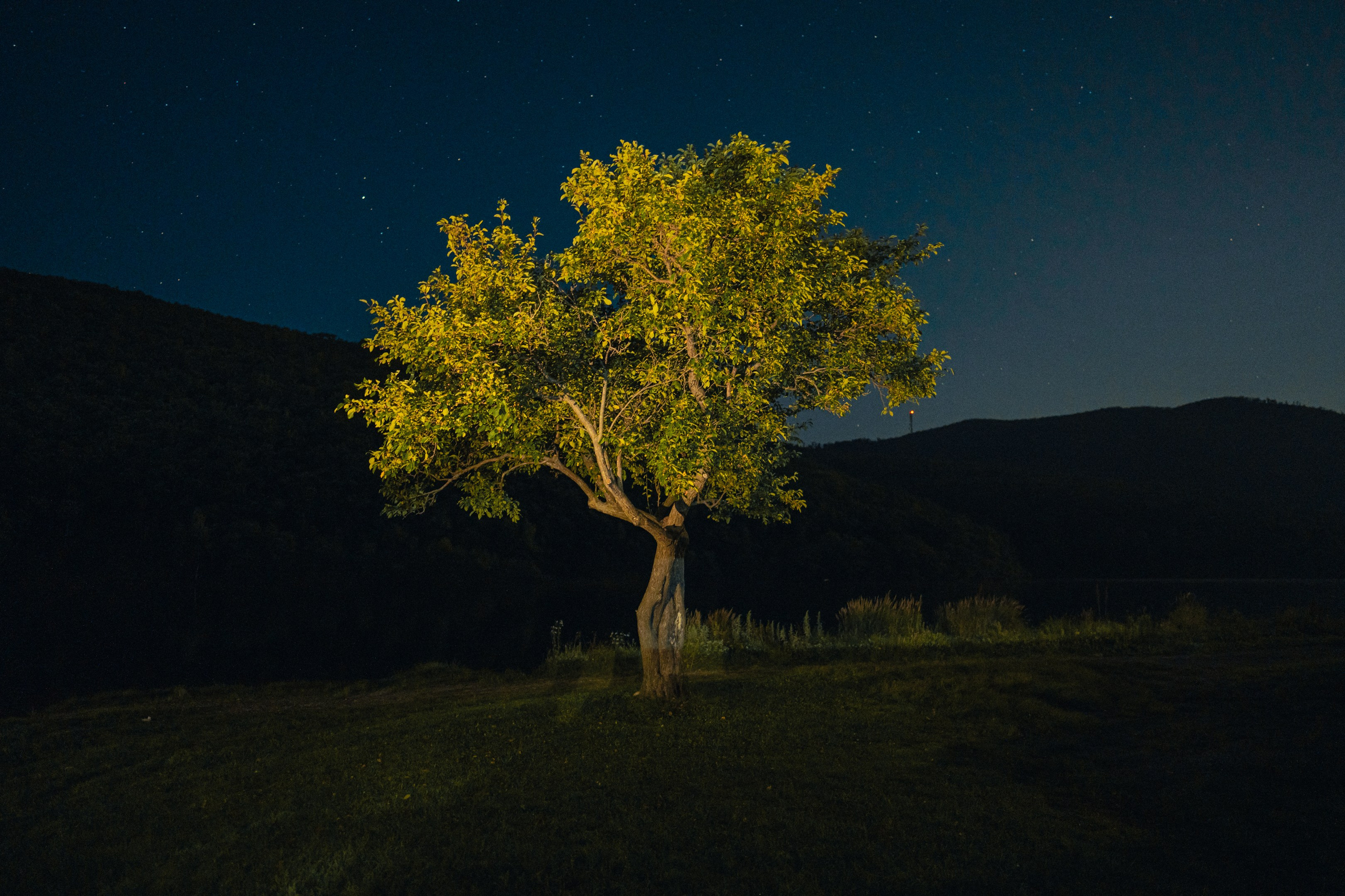 Рудная Пристань. Иван Зайцев (IZIART) — создание культурного кода через фото и видео