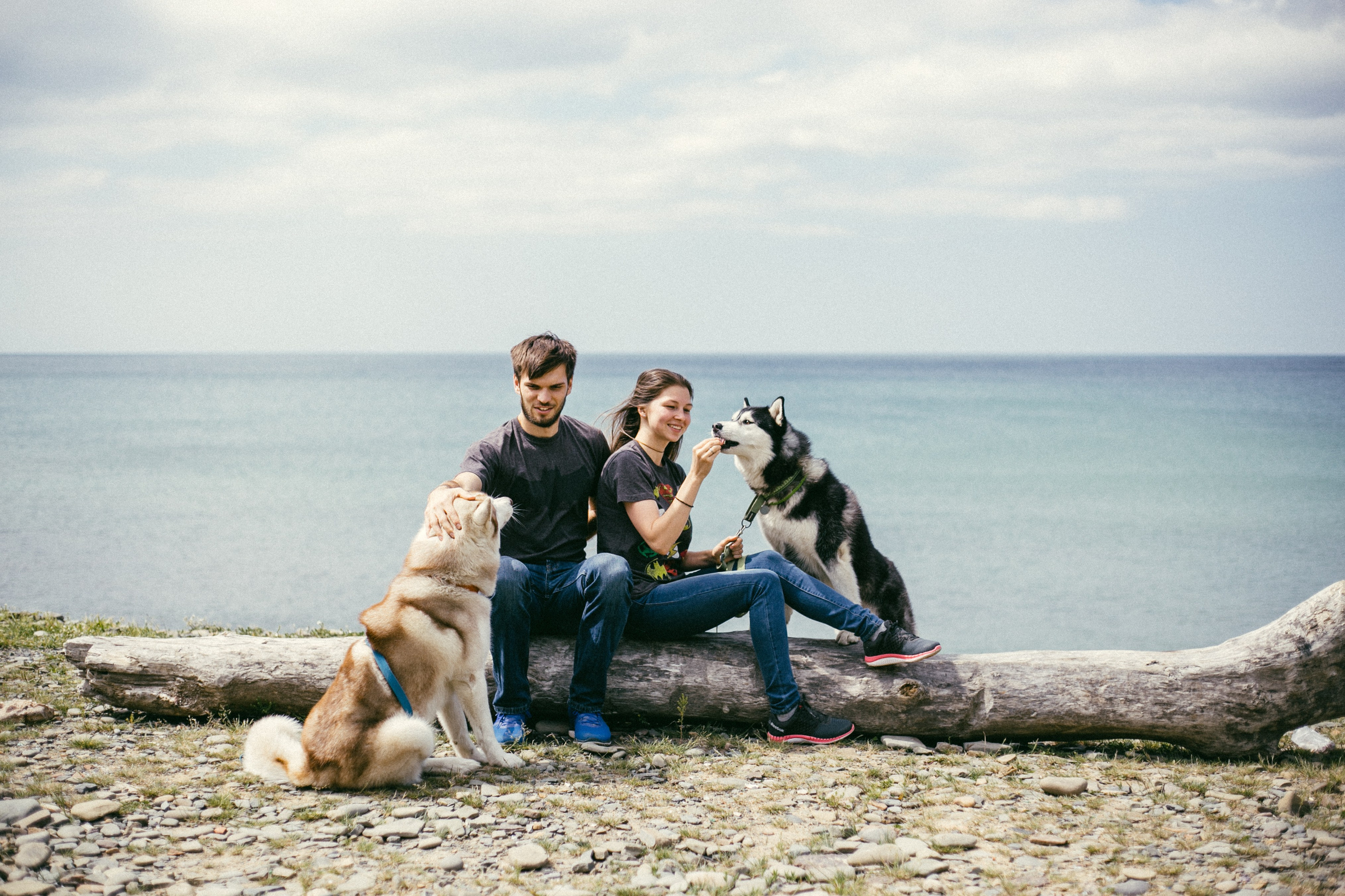 Один чудесный день. Свадебный и семейный фотограф во Владивостоке Овчинникова Дарья