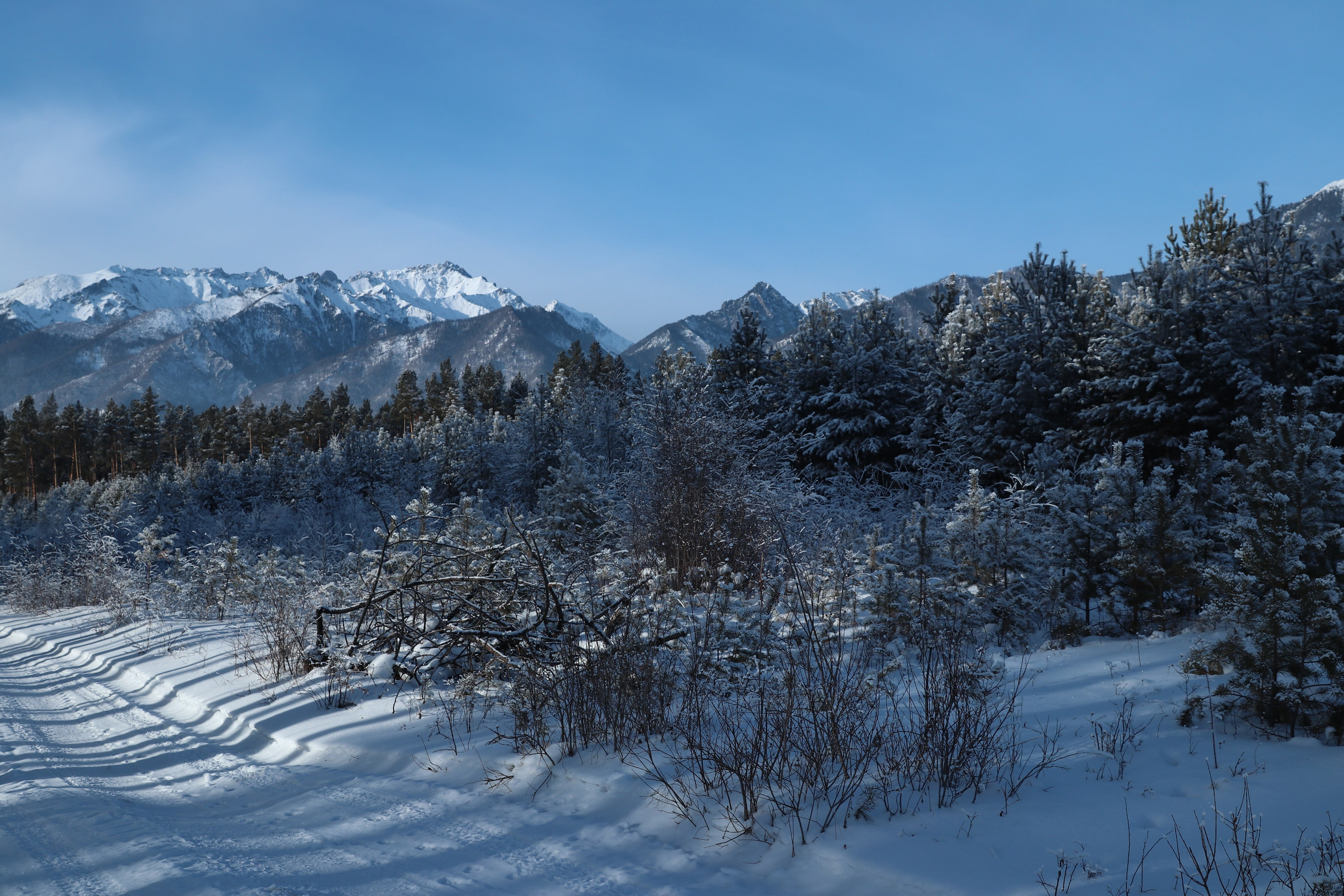 Аршан. Январь 2024. Путешественник-фотограф из Санкт-Петербурга Татьяна Свистулина