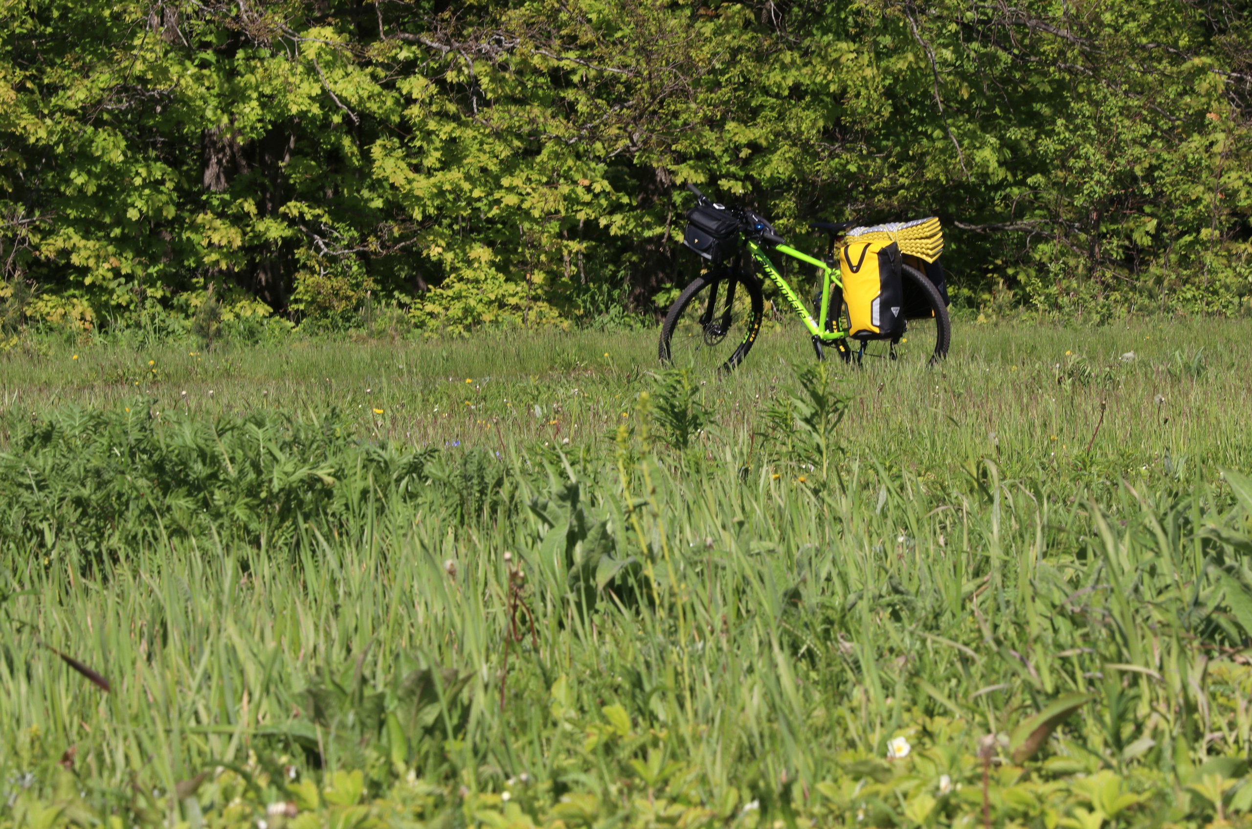 Велопоход Уфа — Мелеуз. Май 2024. Путешественник-фотограф из Санкт-Петербурга Татьяна Свистулина