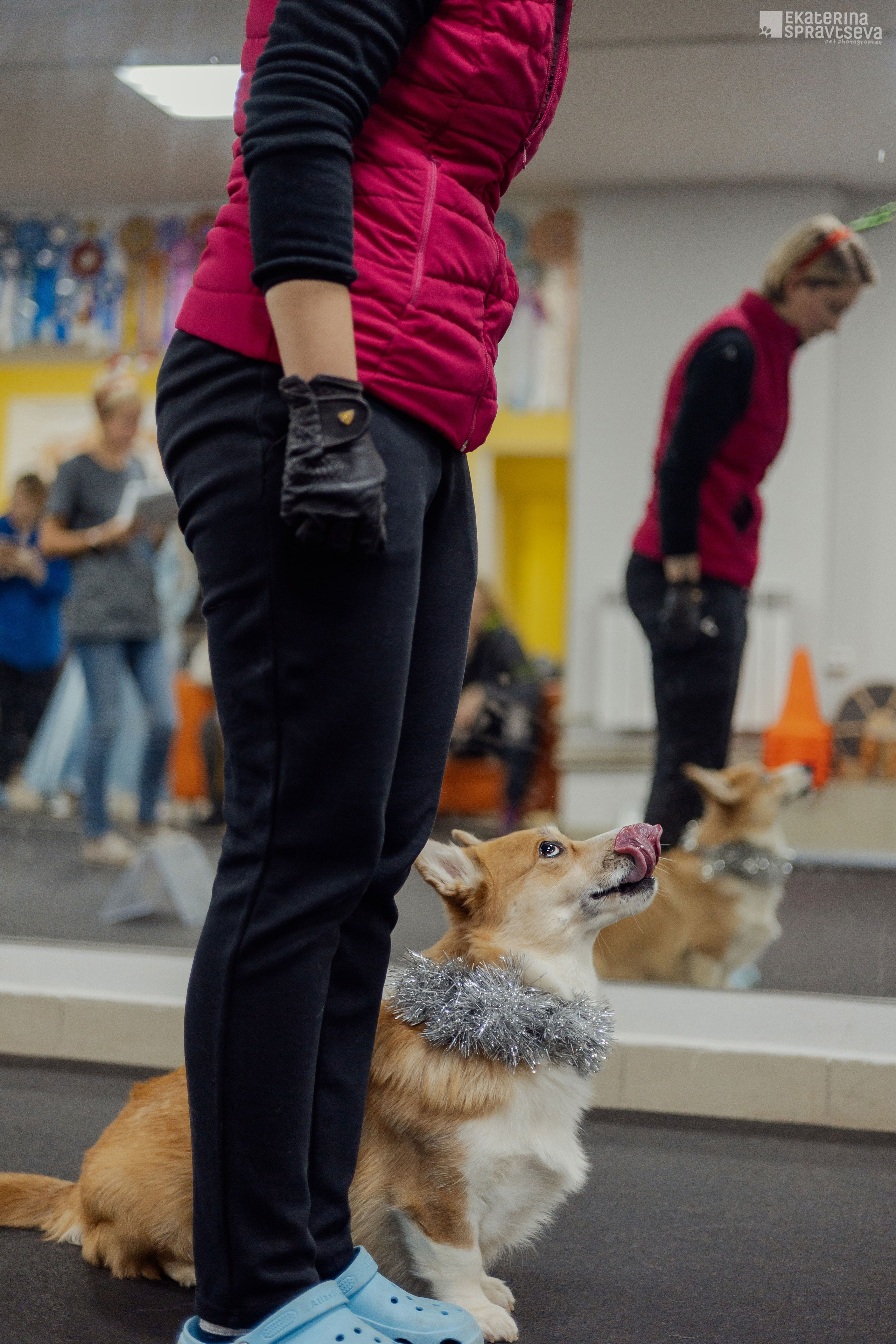 Новогодний Ралли-обидиенс. Фотограф Анималист Екатерина Справцева в Нижнем Новгороде