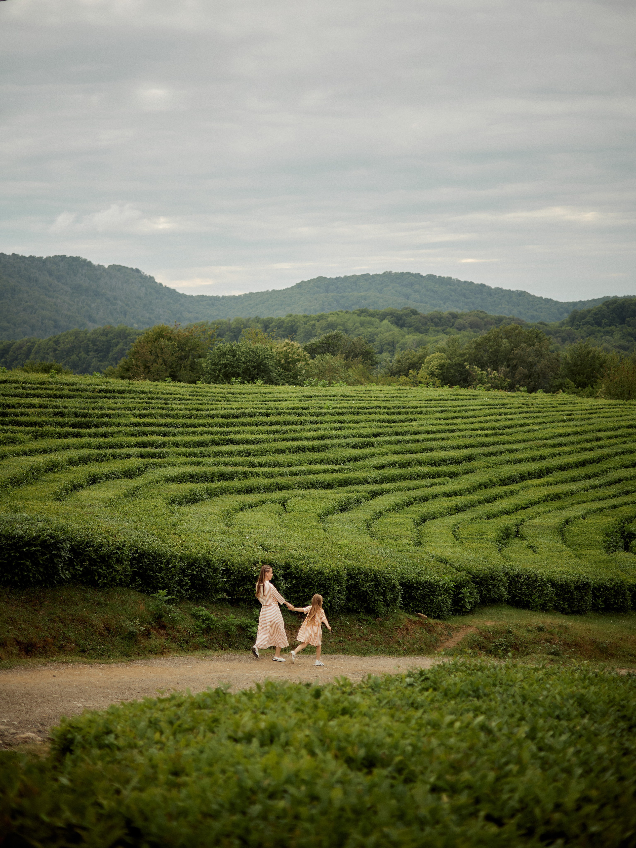 Семейные фотосессии. Фотограф Сочи