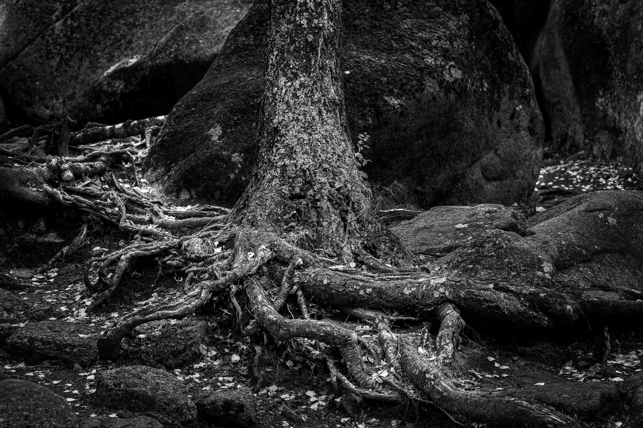 Серия «Архитектура природы: „Красноярские Столбы“». Фотограф в Москве Татьяна Макотра