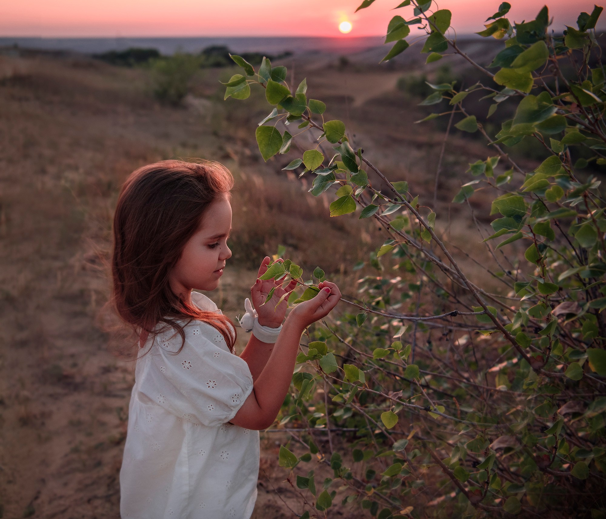 Вечерний август. Семейный и детский фотограф в Москве Алена Прошкина
