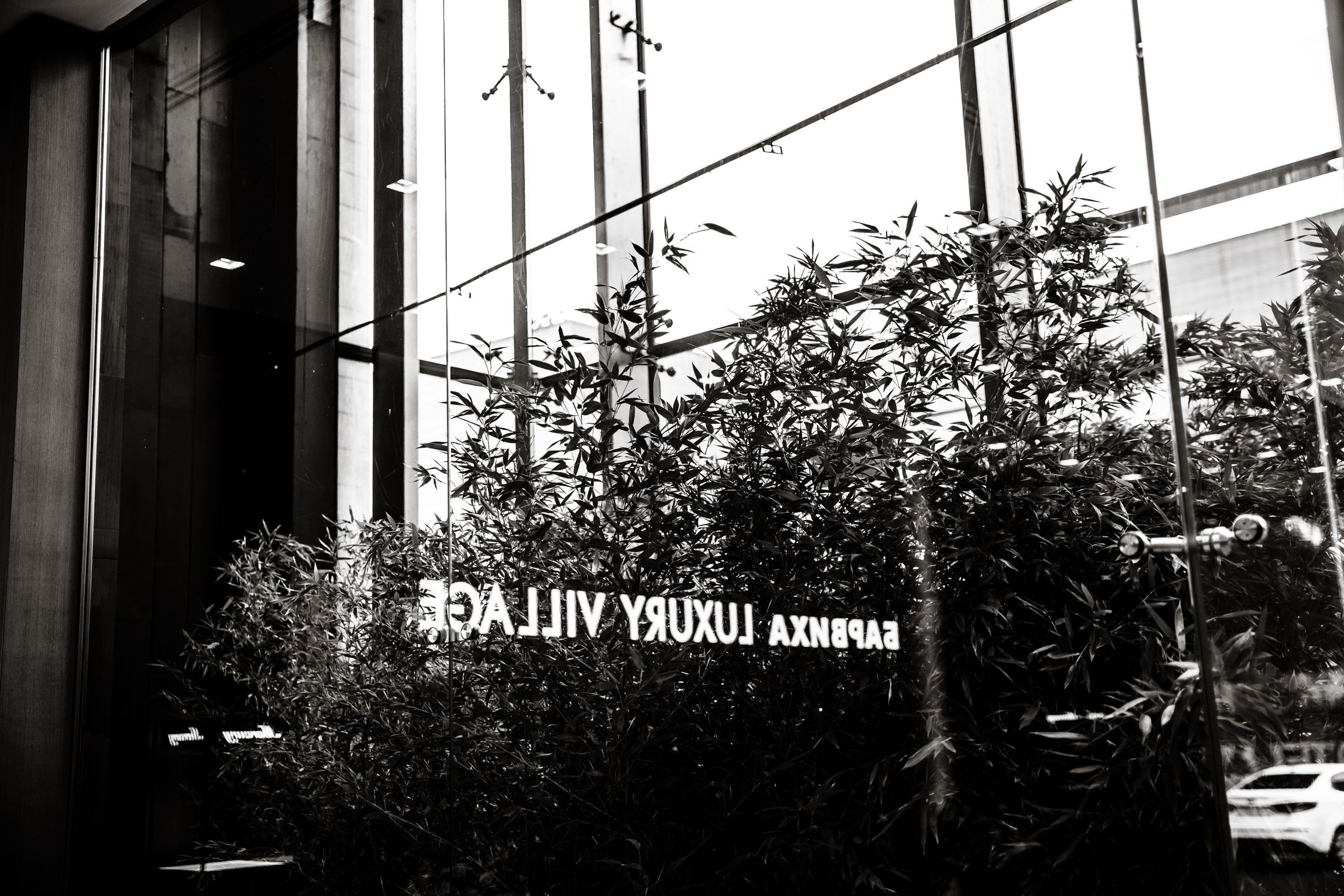 Павел и Софья. Фотограф Константин Пешков