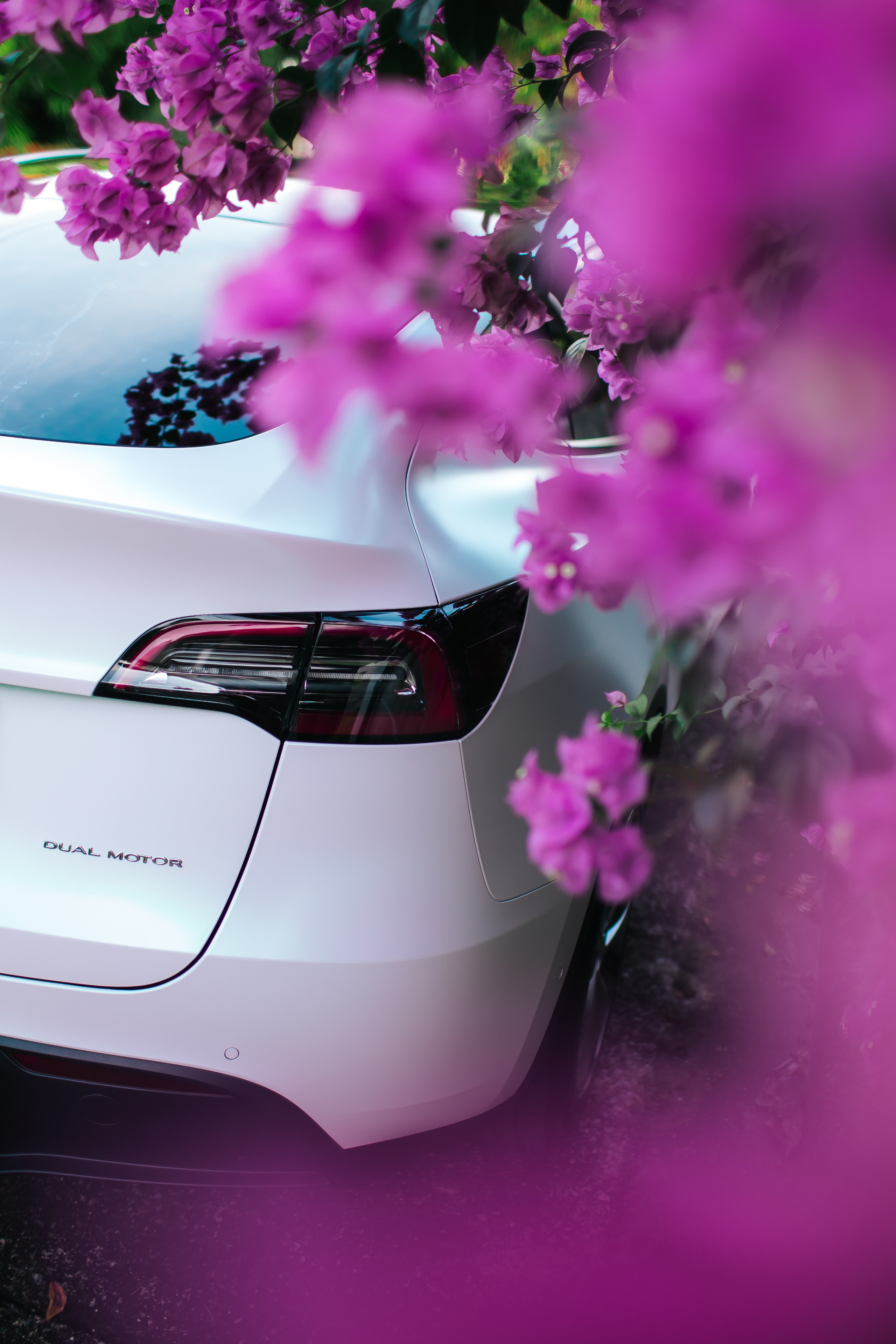 Tesla Model 3 Pearl. Фотограф в на Пхукете Сергей Войлоков