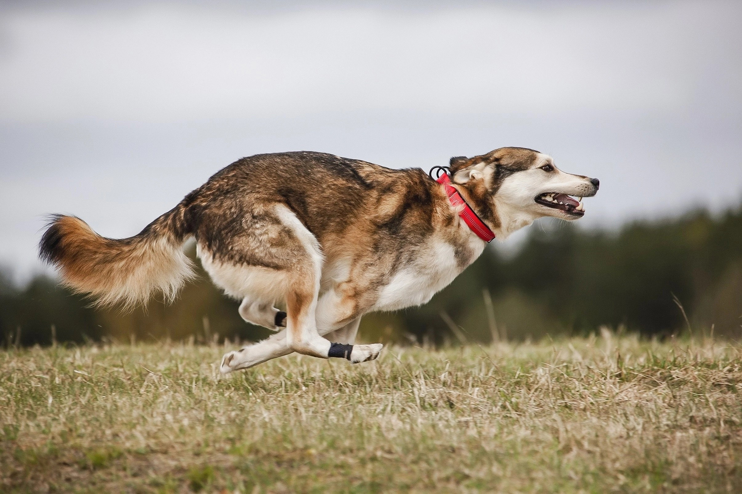 Lure Club май 2024. Irenephoto.ru