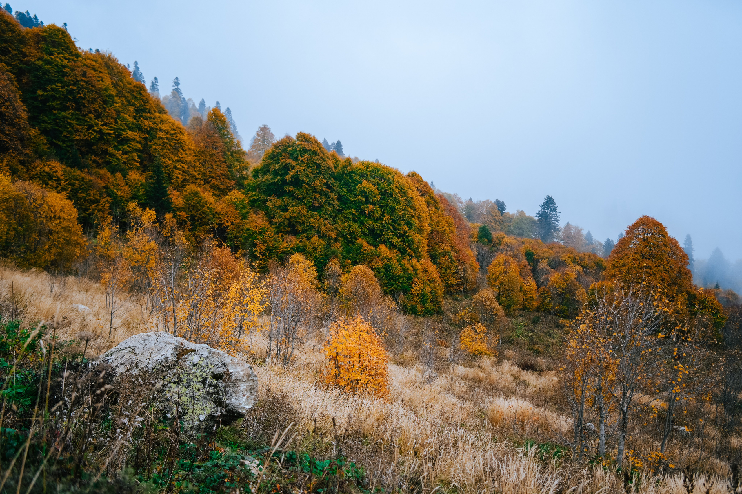 Роза Пик, тропа Турья ✽ Октябрь. Репортажный фотограф | Роза Хутор Красная Поляна Сочи Сириус