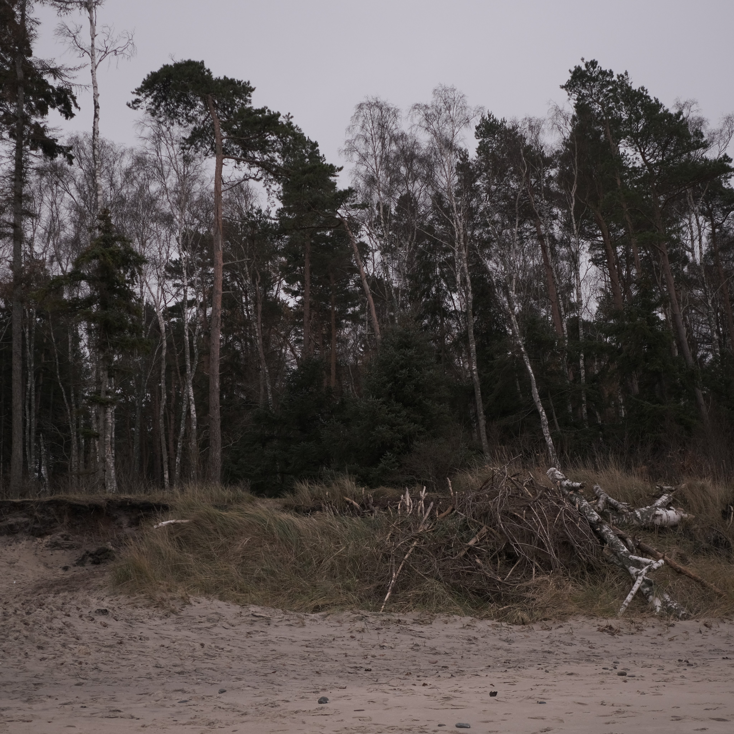 Калининград. LIYALEE PHOTO