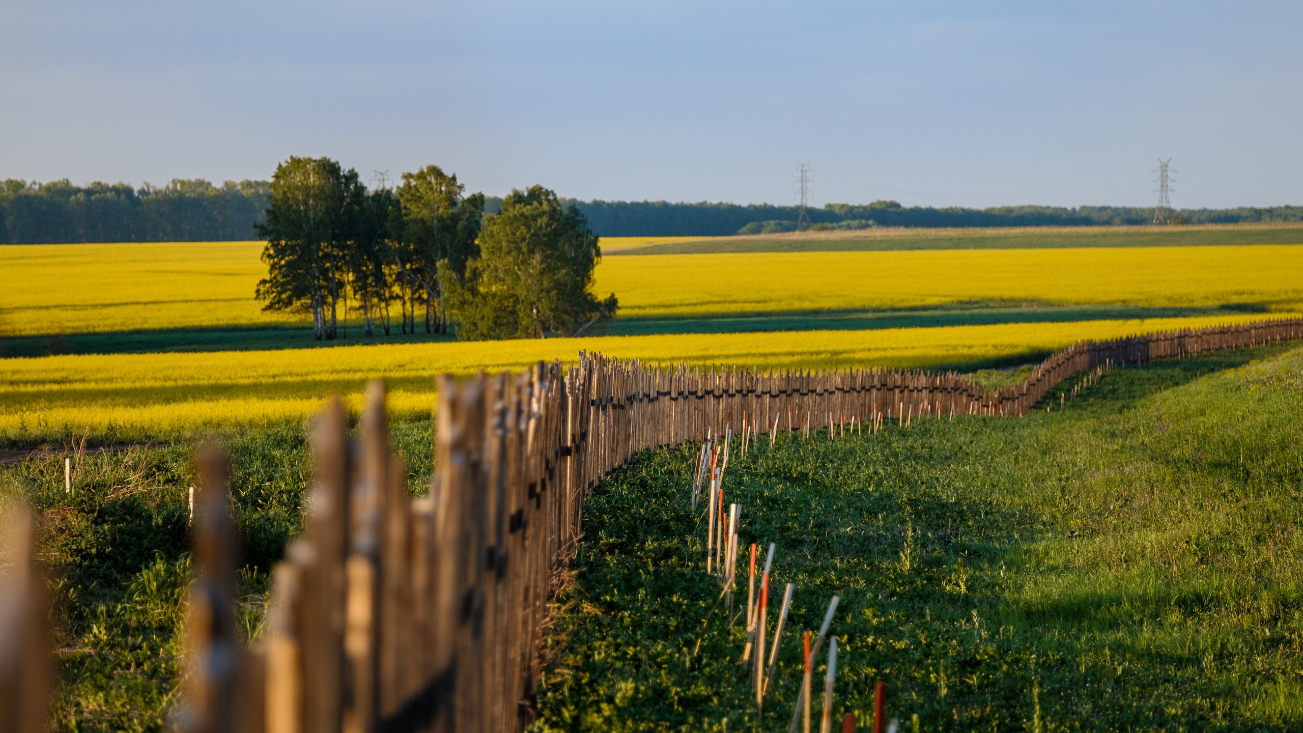 Путешествия. Профессиональный фотограф Виктор Гагарин — Промышленная, Event, Портретная, Репортажная съемка в Новокузнецке, Кемерово, Новосибирске