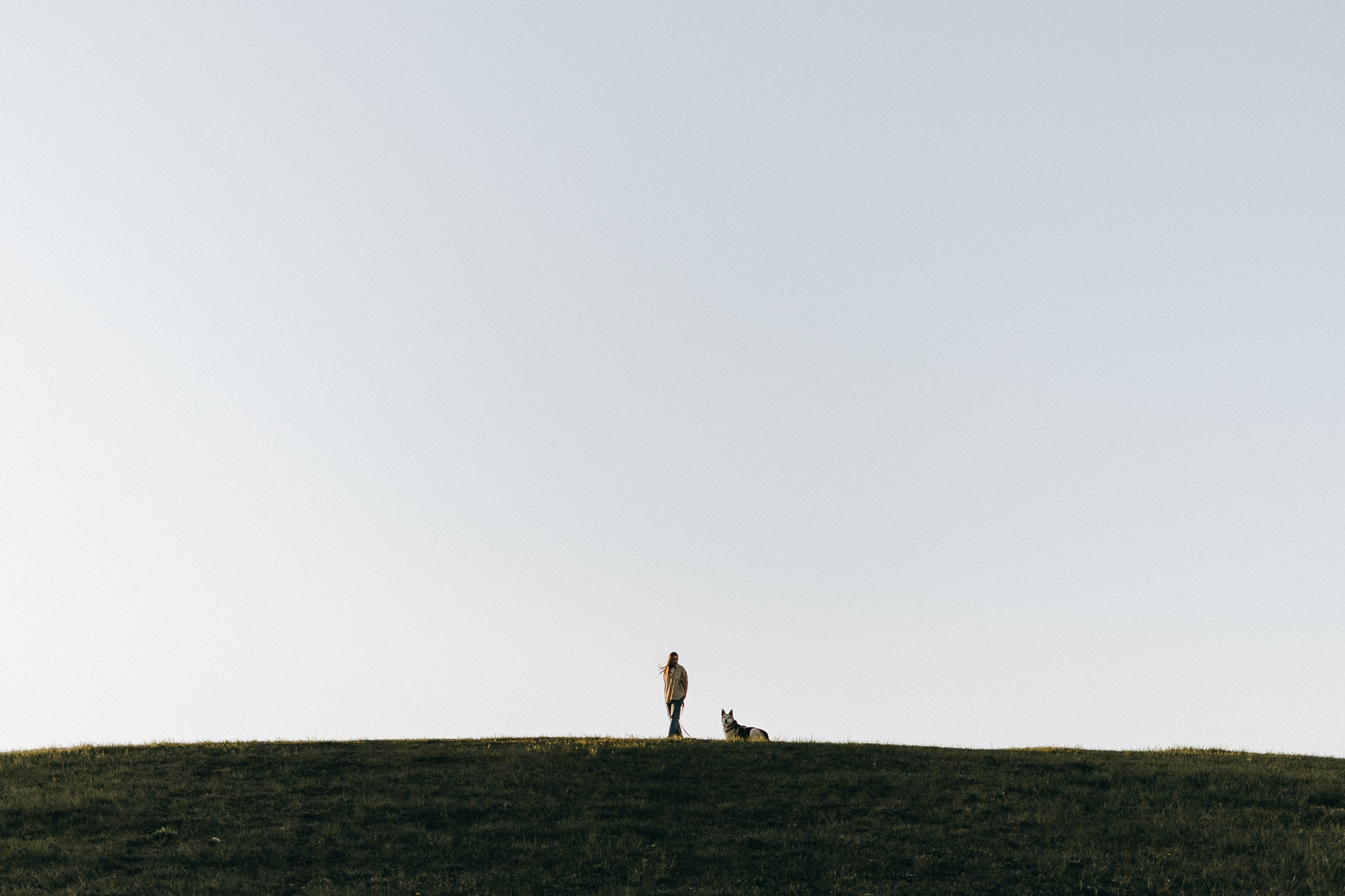 Саша и Зельда. Фотограф — Анималист | Санкт-Петербург