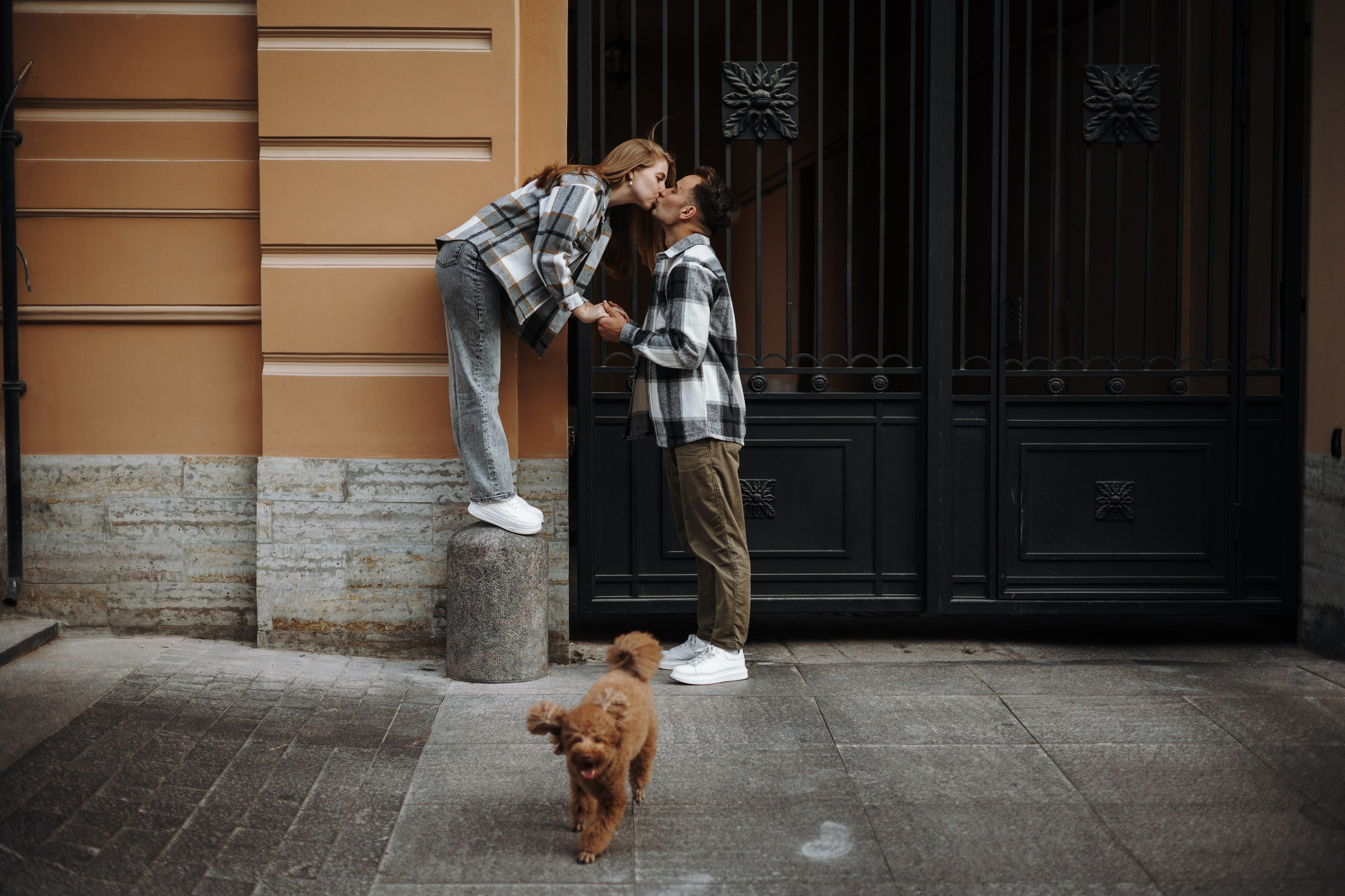 Барни и его семья. Фотограф — Анималист | Санкт-Петербург