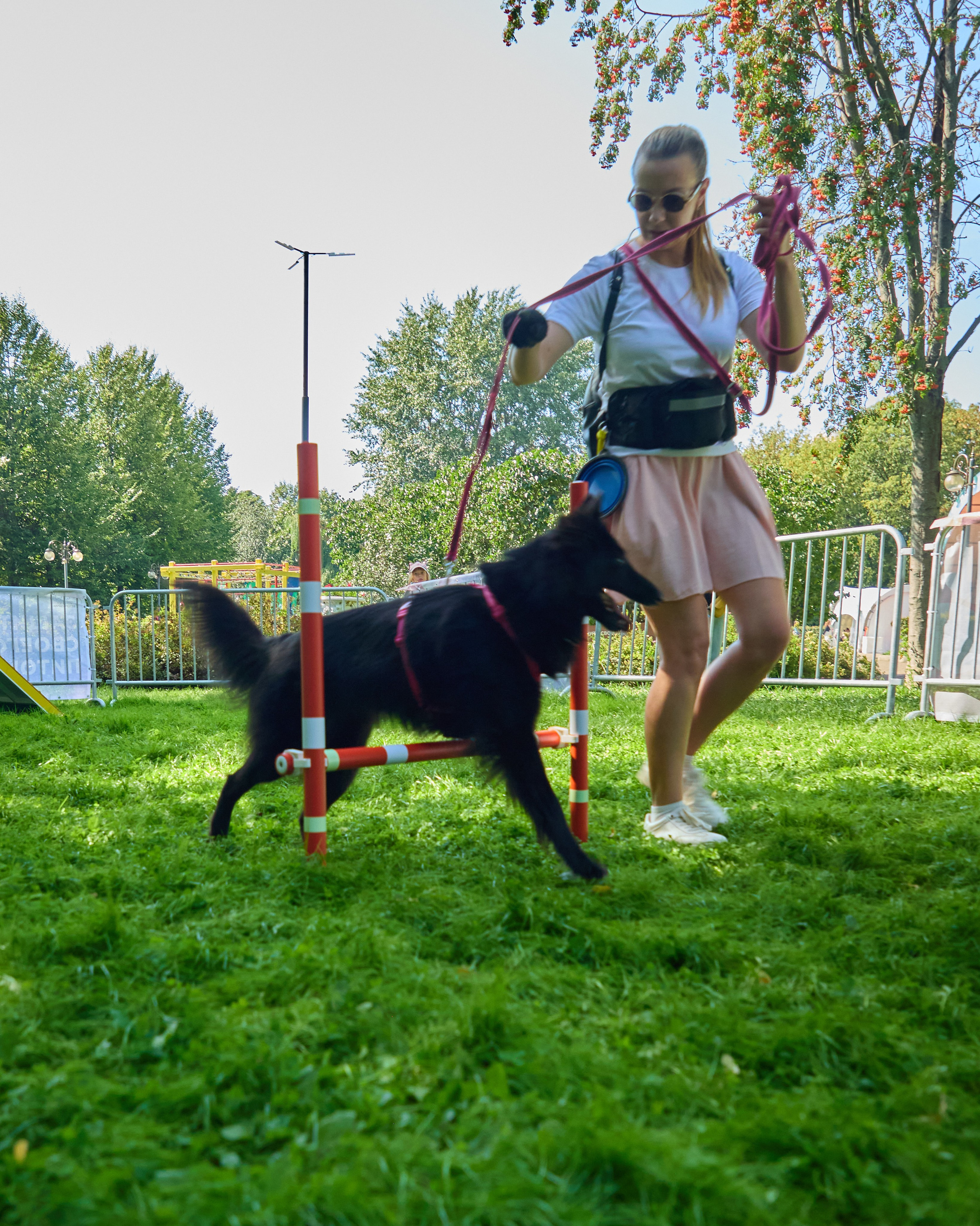 День защиты Питомцев х ТАСС х Союз ветеринаров. Святослав Лебедев | Рекламный фотограф — Коммерческая съемка, Арт-дирекшн, AI-интеграция