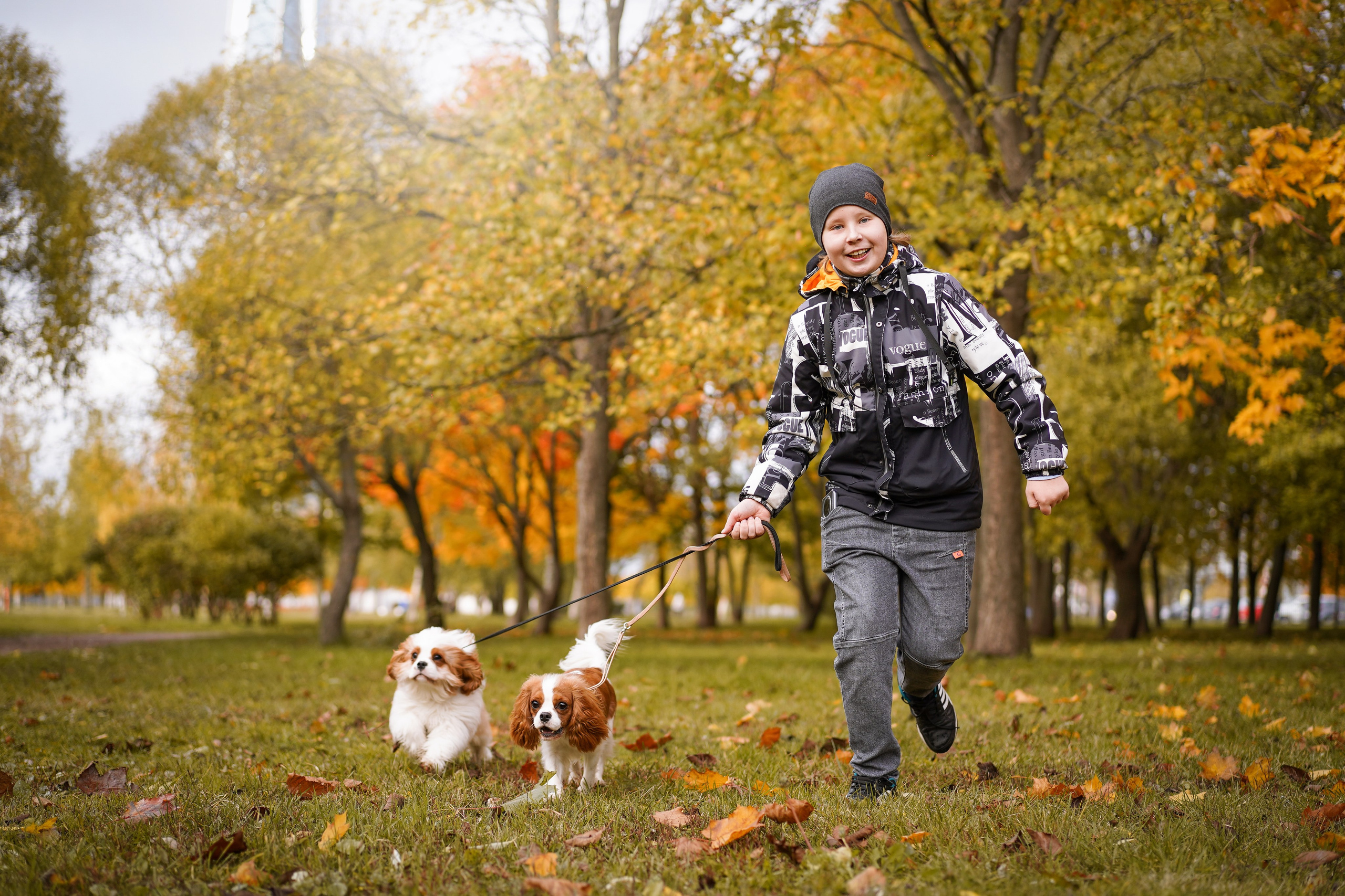 Катя Валера Саша и кавалерчики. Фотограф-анималист в Санкт-Петербурге Яна Мартынова