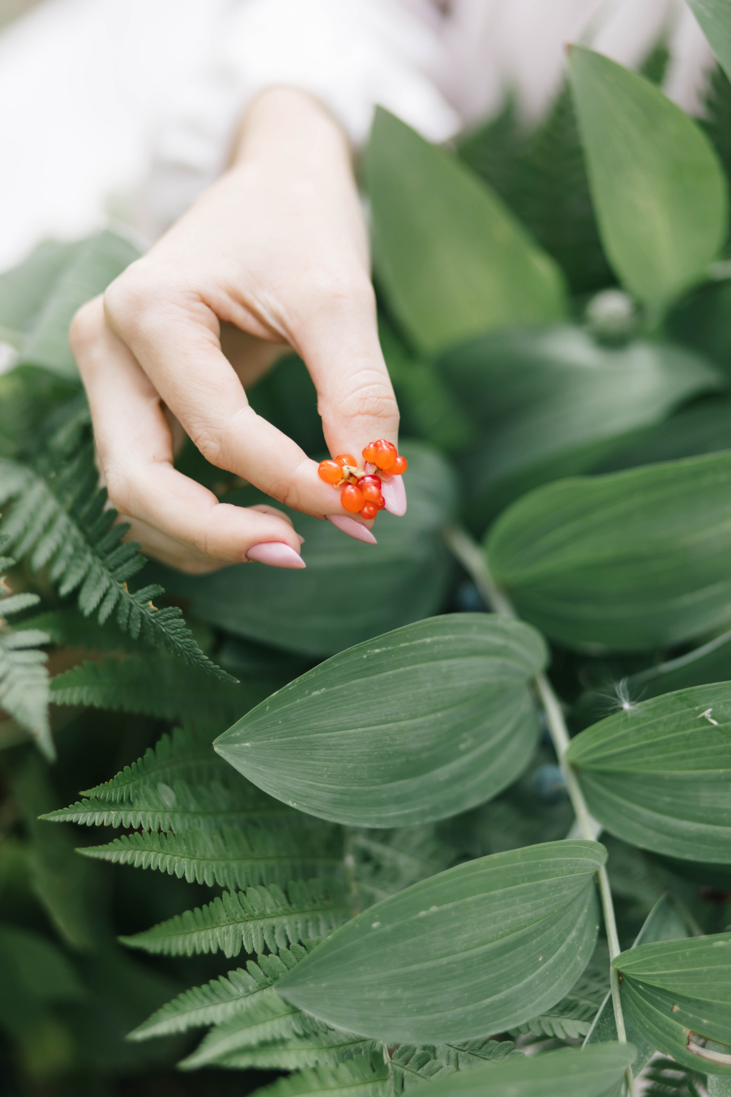 Виктория. Семейный и детский фотограф в Челябинске Елена Вышегородцева