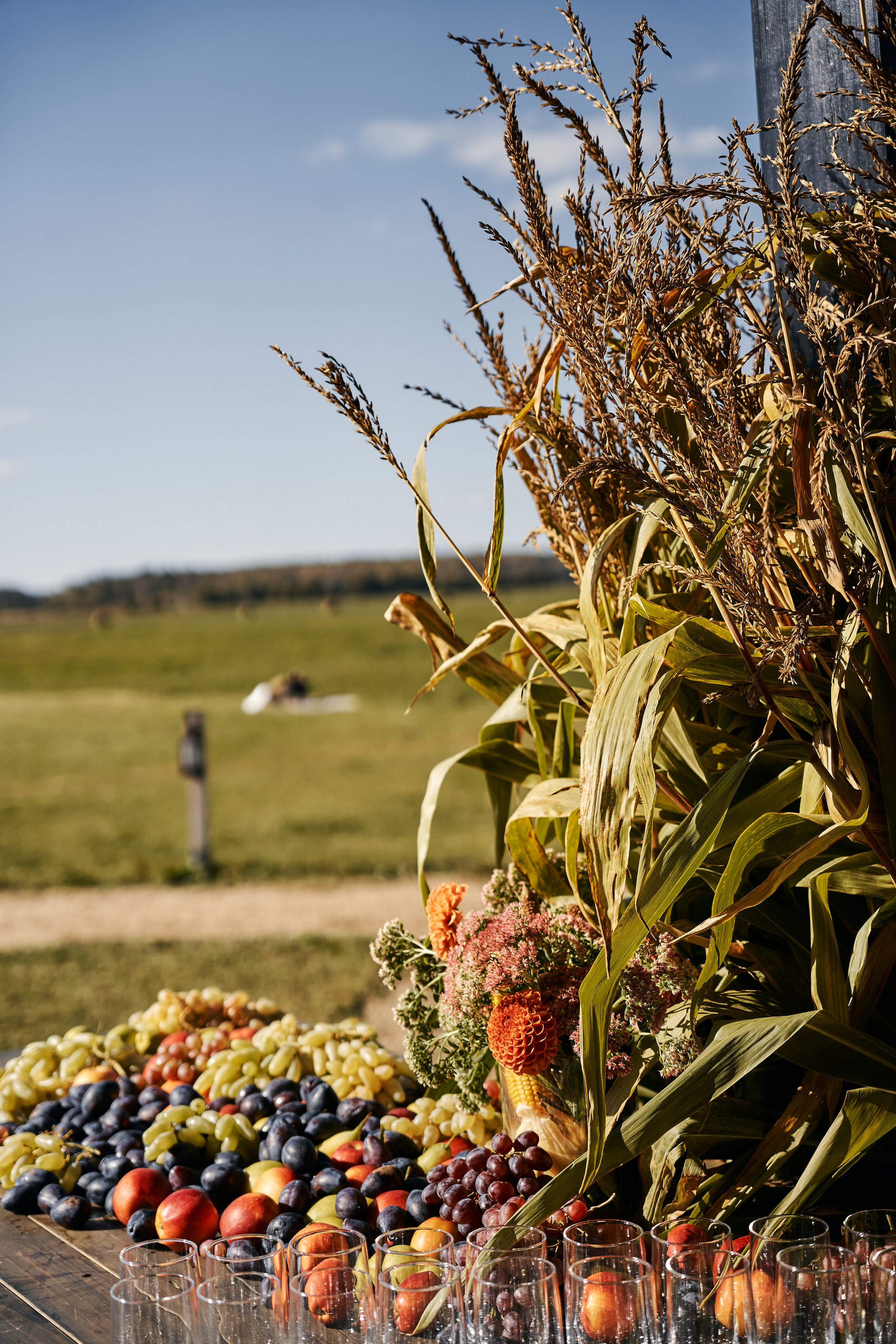 Sexychella. Фотограф в Москве Казакова Анна