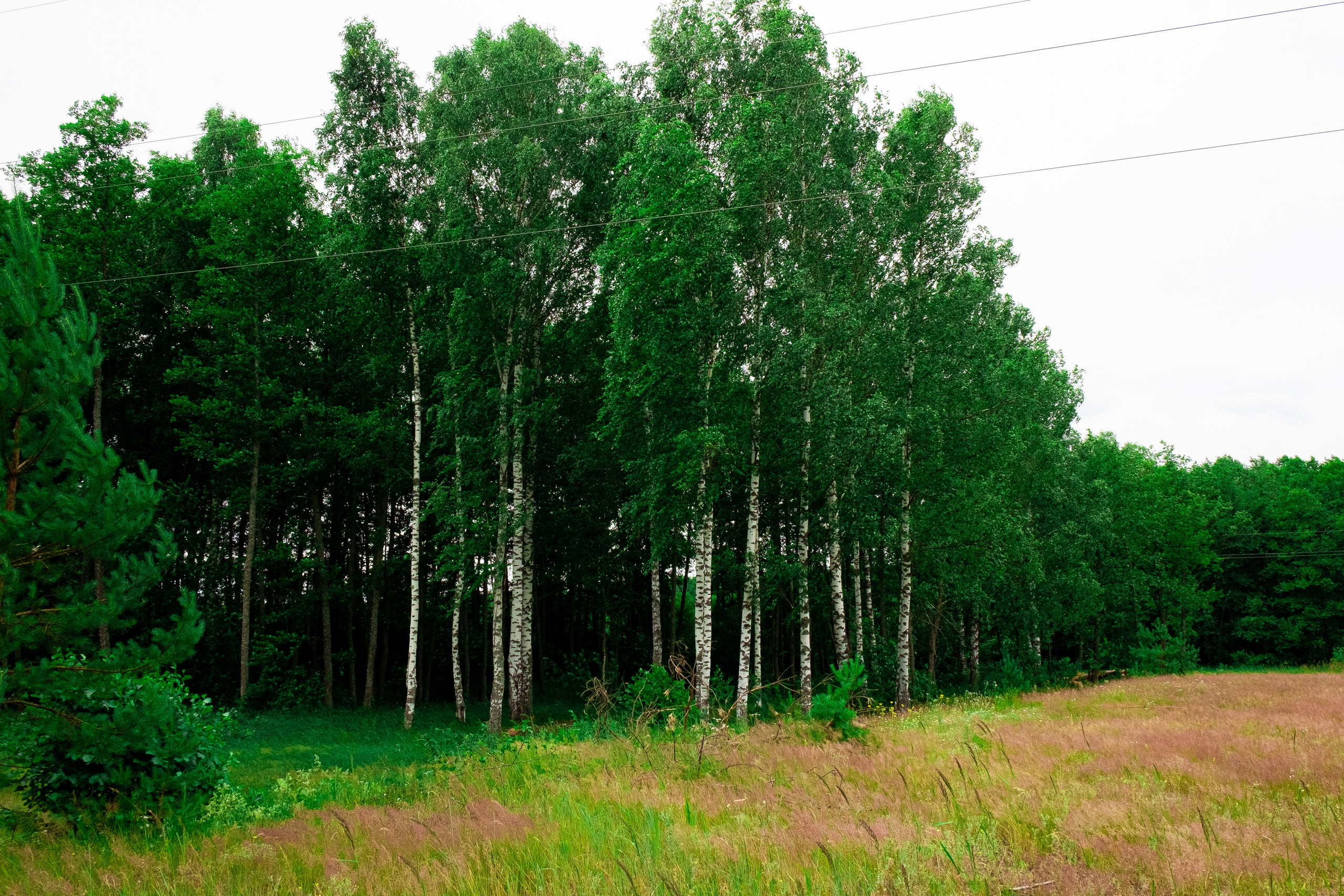 Краснослободский район. Село Старое Синдрово. Кинокомиссия Республики Мордовия