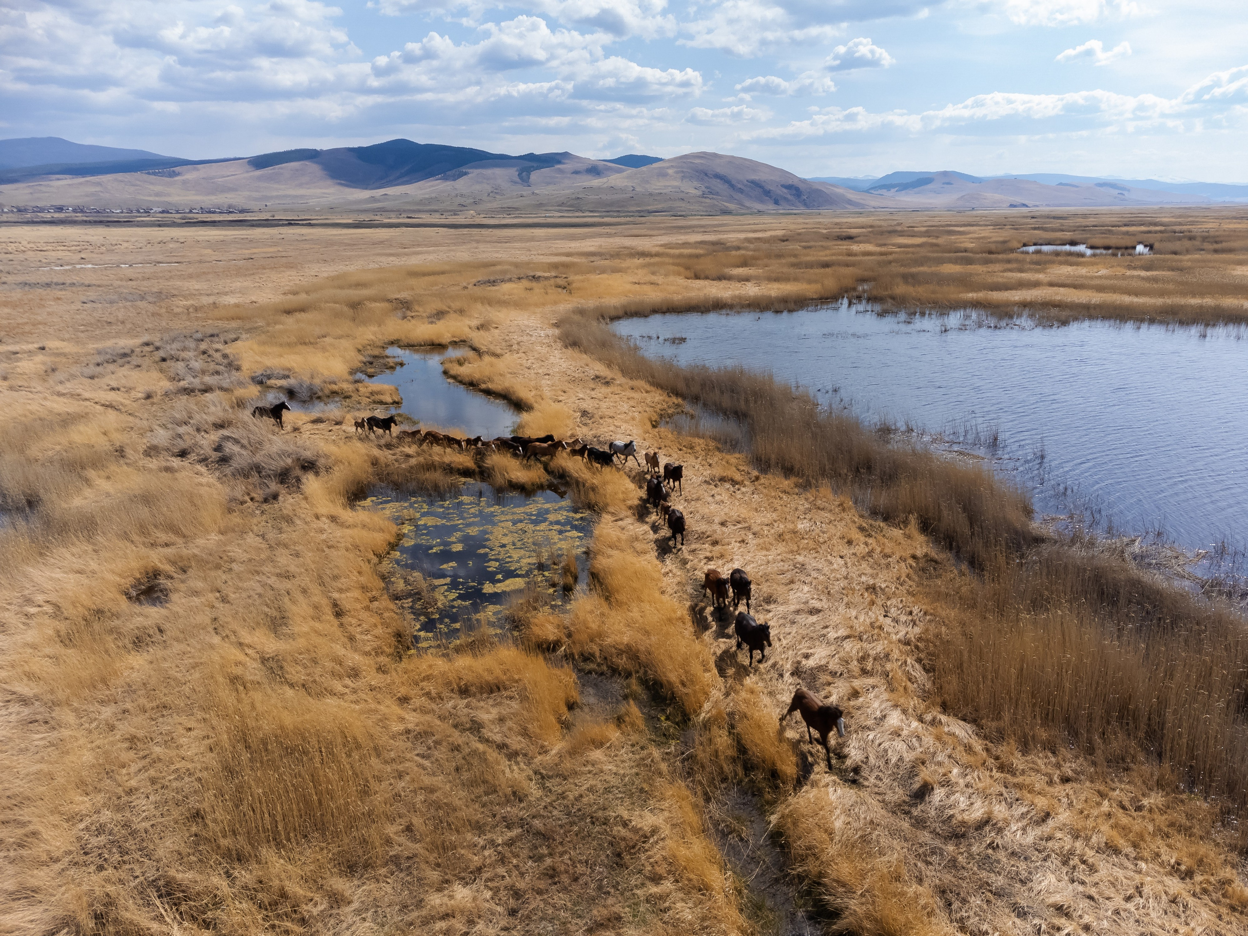 Сувинская саксония, Максимиха. Фотограф и видеооператор в Туле | Даниил Рыбак