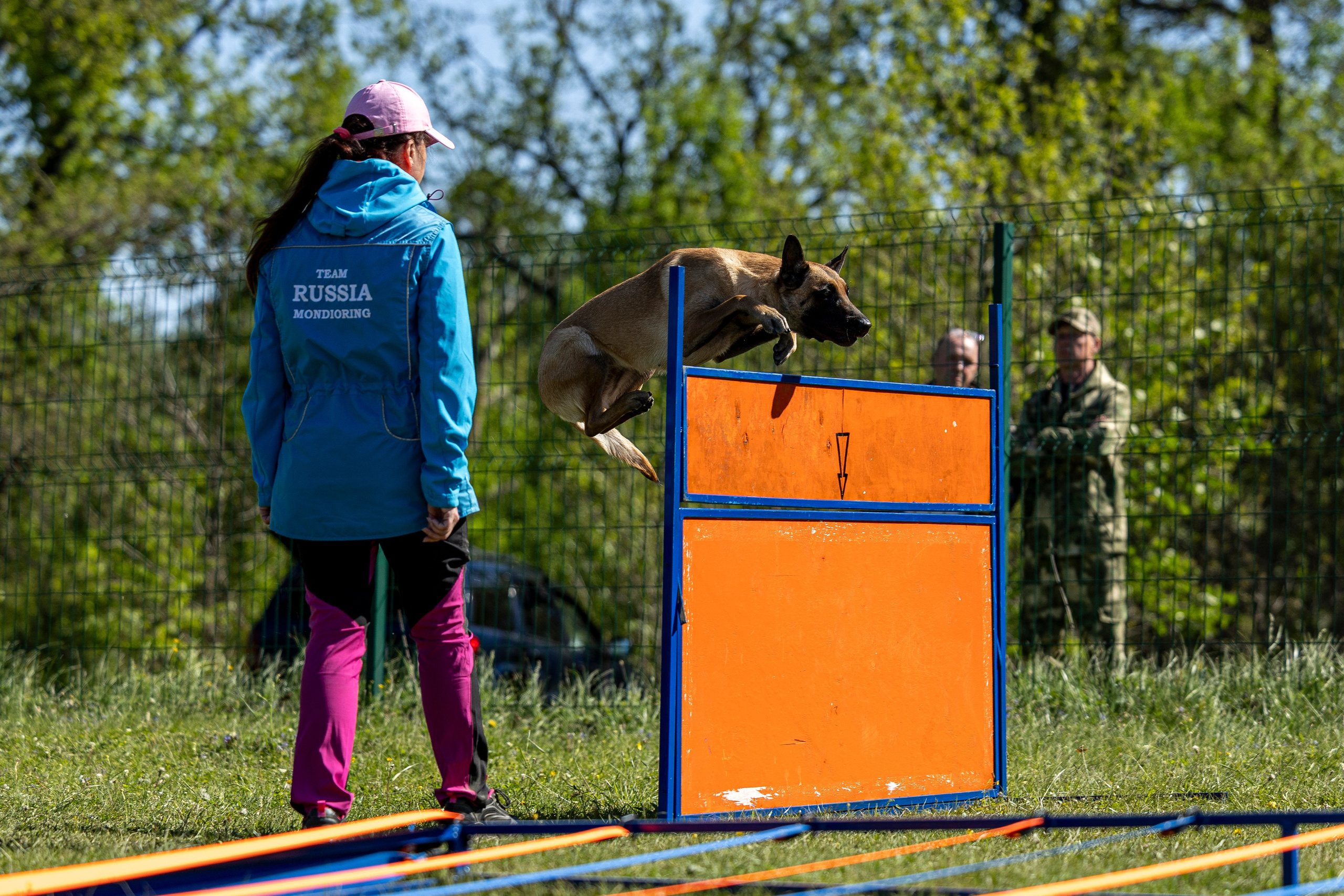 Испытания по мондьорингу в Нижнем Новгороде. Фотограф-анималист Анна Маринич