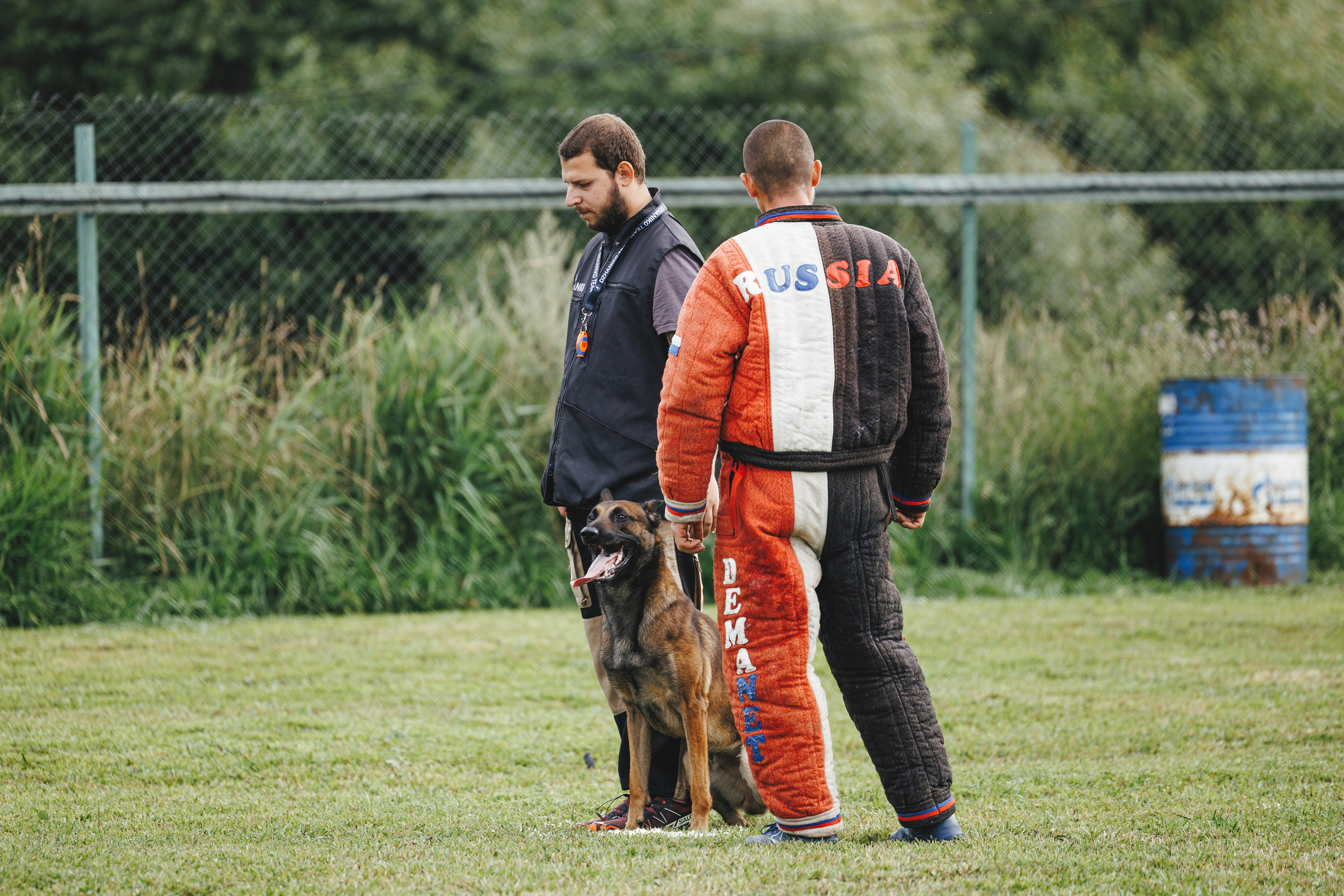 08.08.25-10.08.25 ЧР по мондьорингу г. Вологда. Фотограф-анималист Анна Маринич