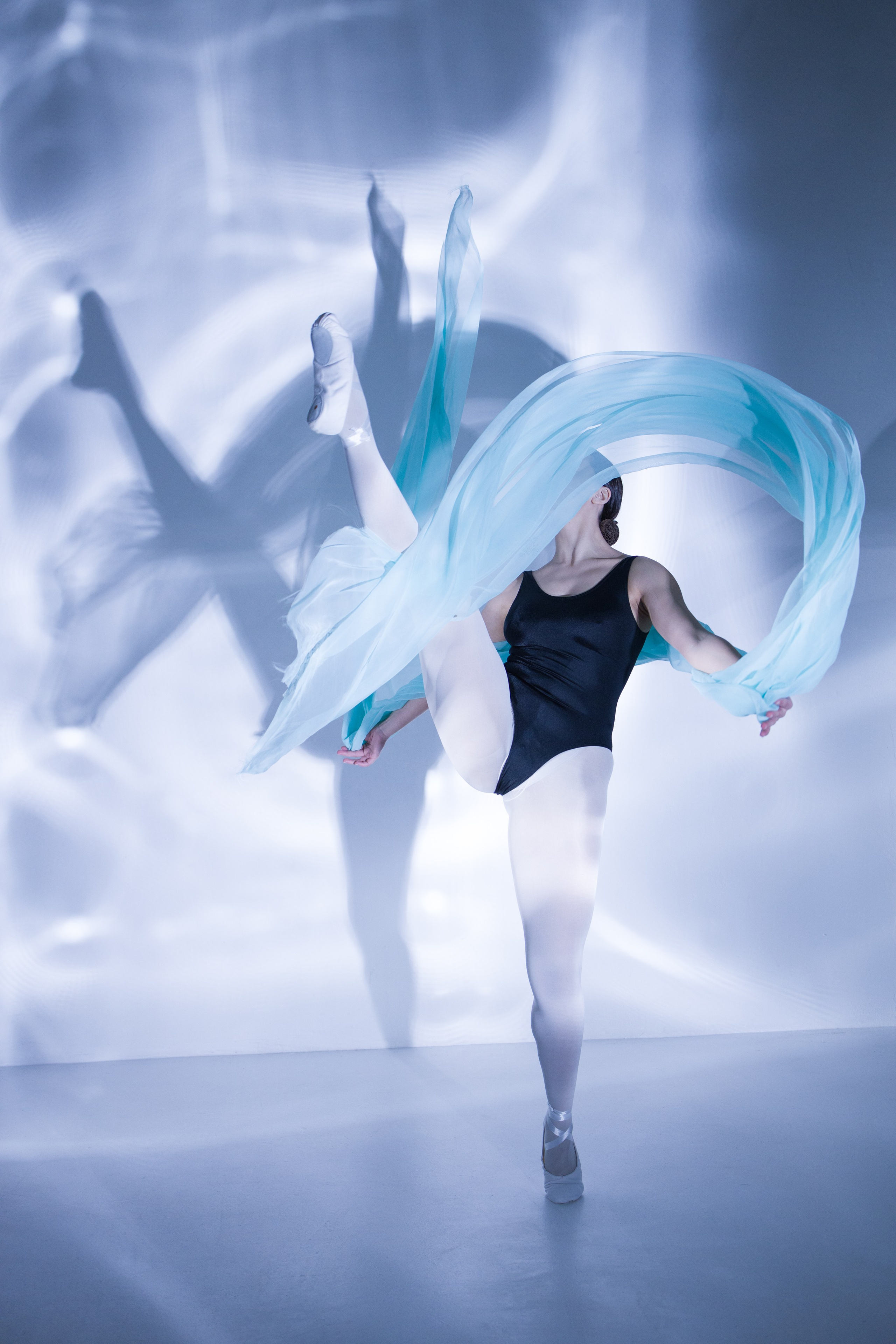 Лилия. Художественная фотография