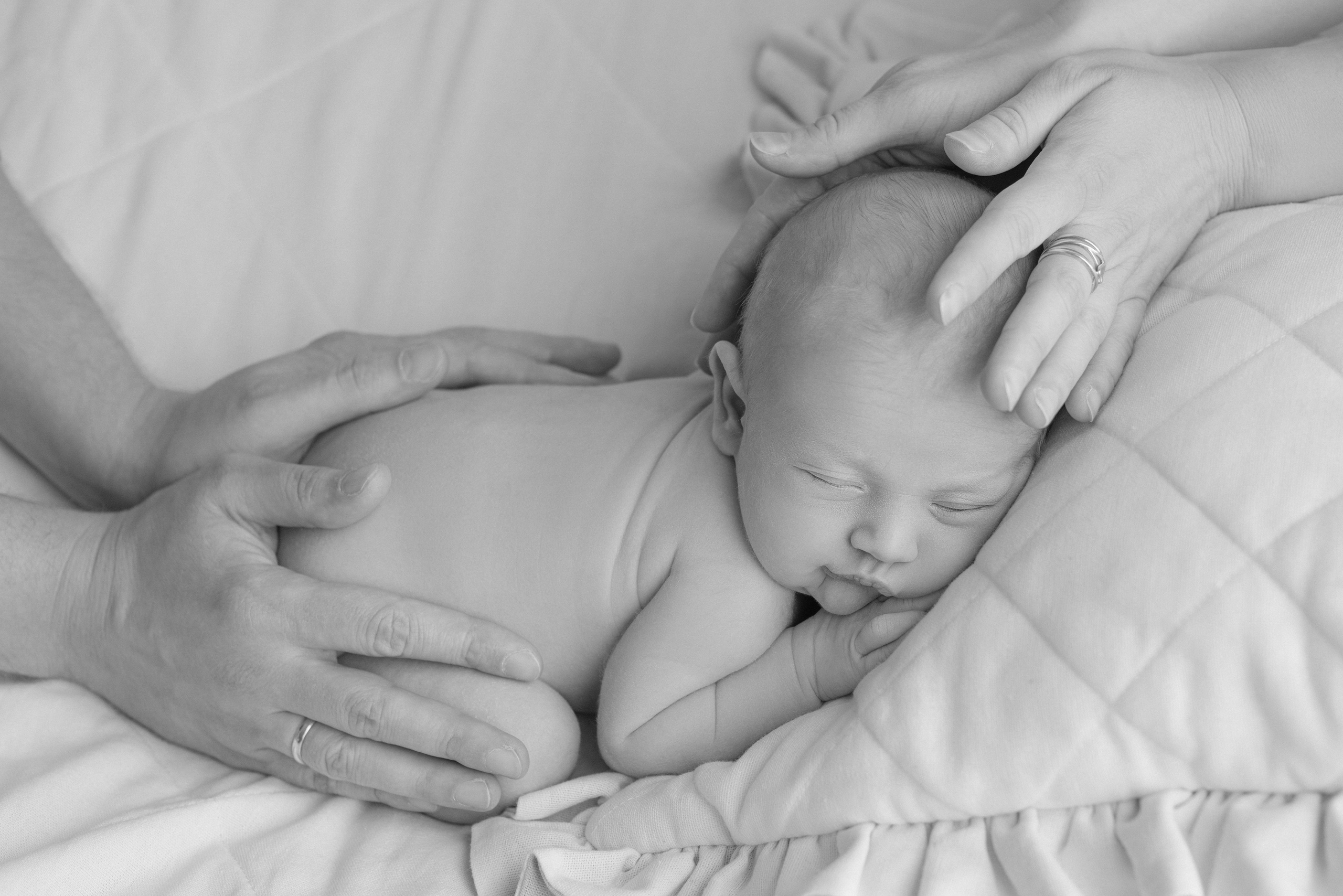 Новорожденные. Фотограф Новорожденных во Владивостоке Ольга Галаницкая