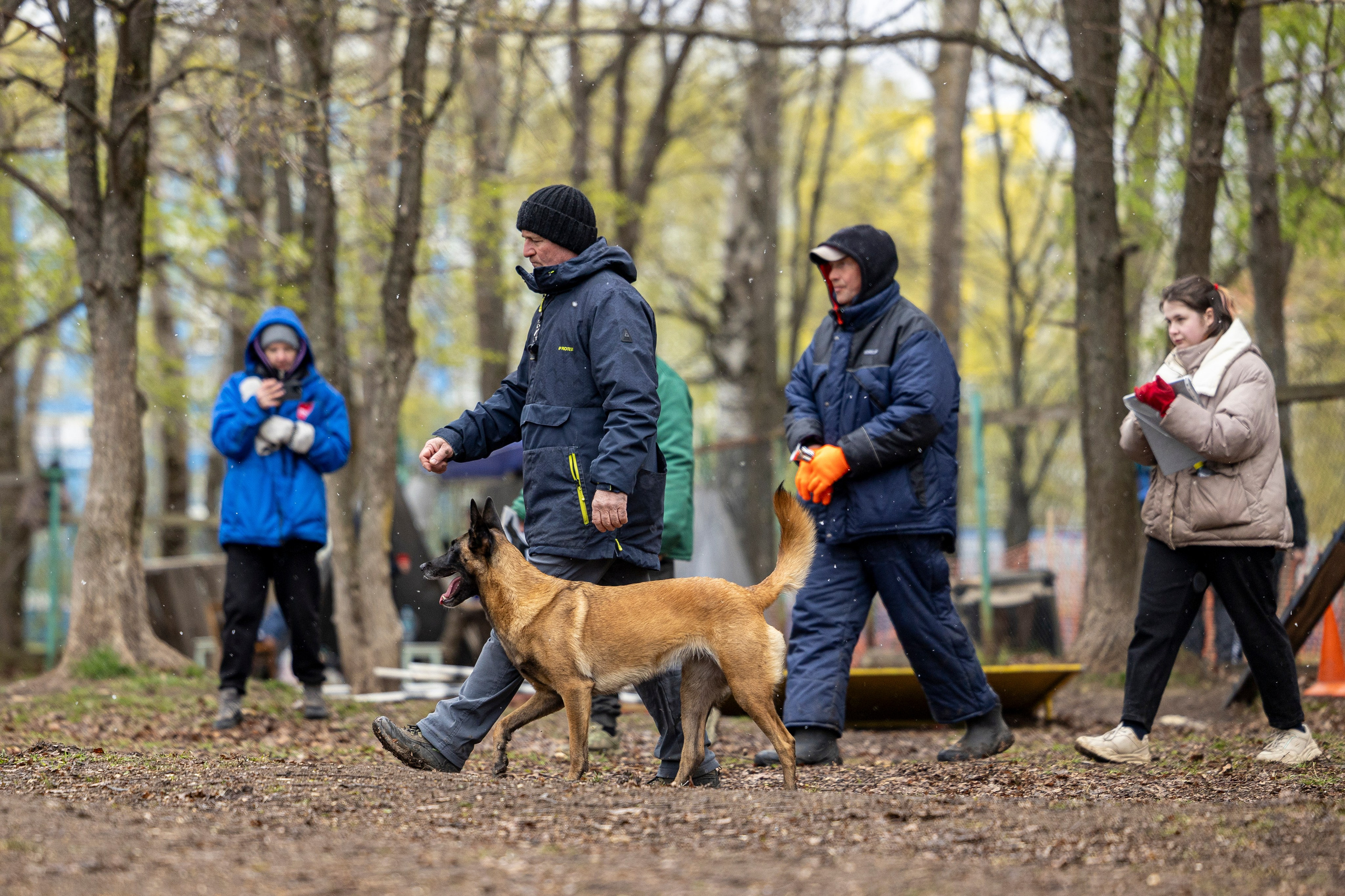 Квалификационные состязания по мондьорингу г. Вологда 11.05.24. Фотограф-анималист Анна Маринич
