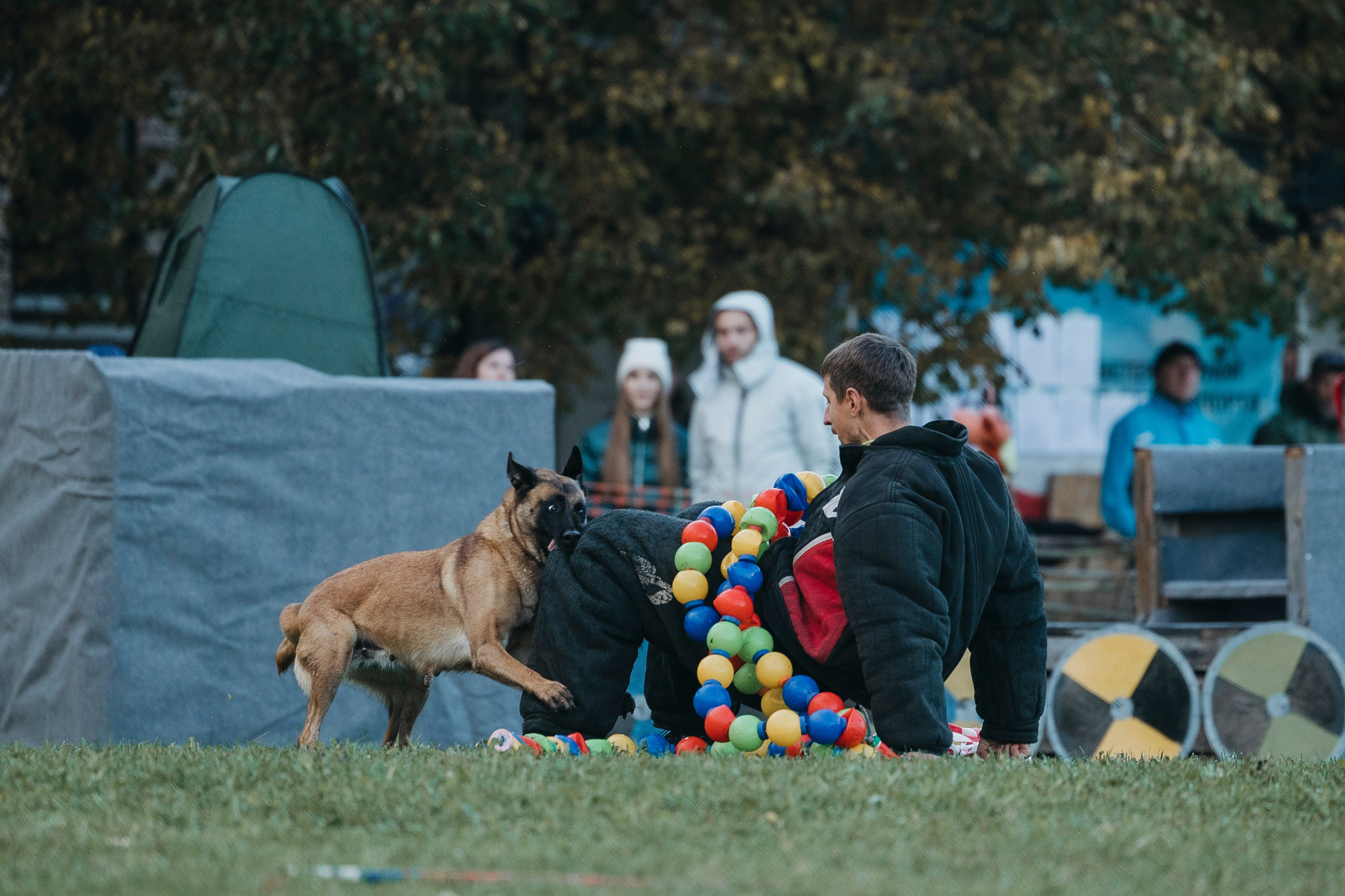 Испытания по мондьорингу г. Пушкин 29.09.2024. Фотограф-анималист Анна Маринич