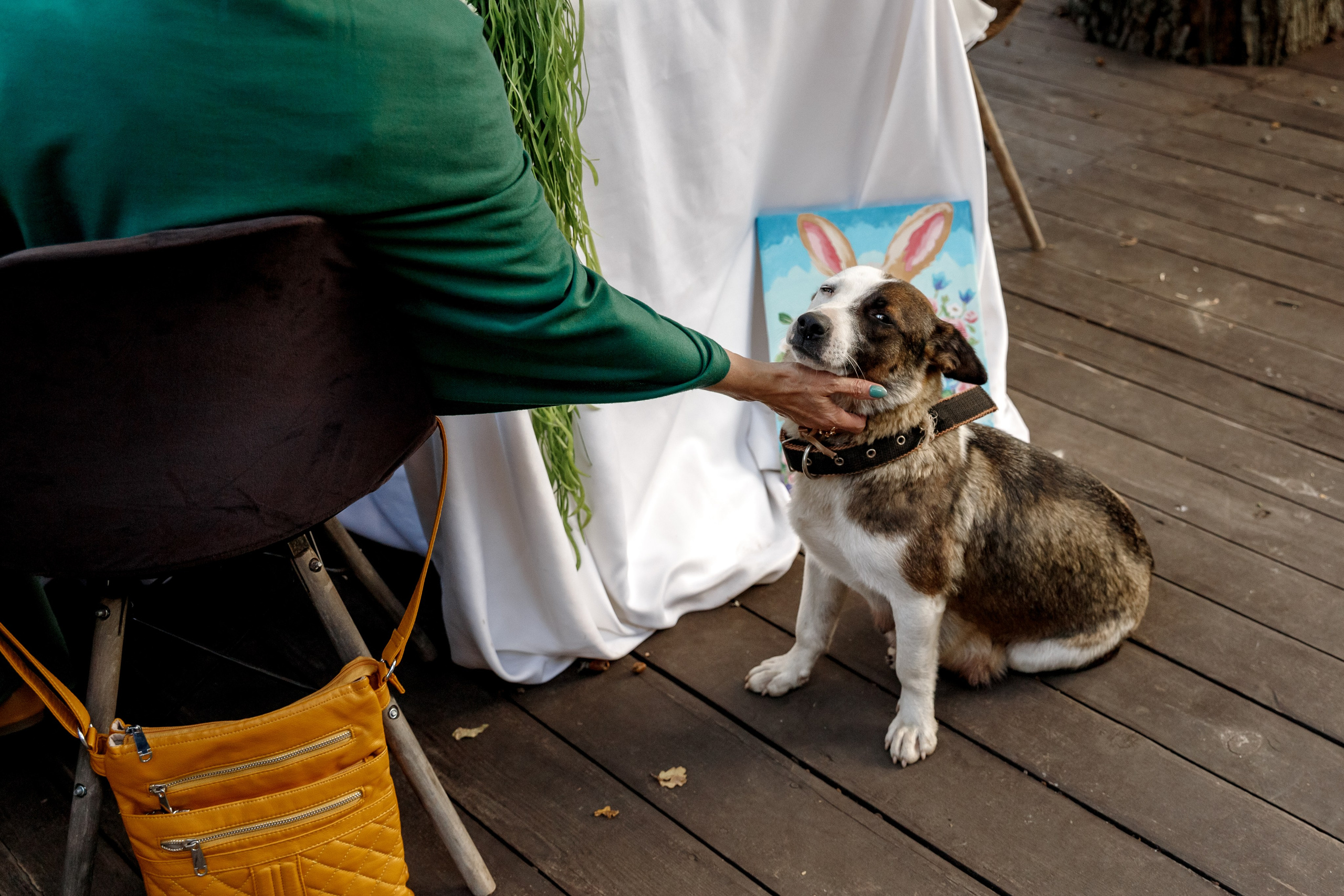Роман и Екатерина. Свадебный и семейный фотограф Разида Мухаметова