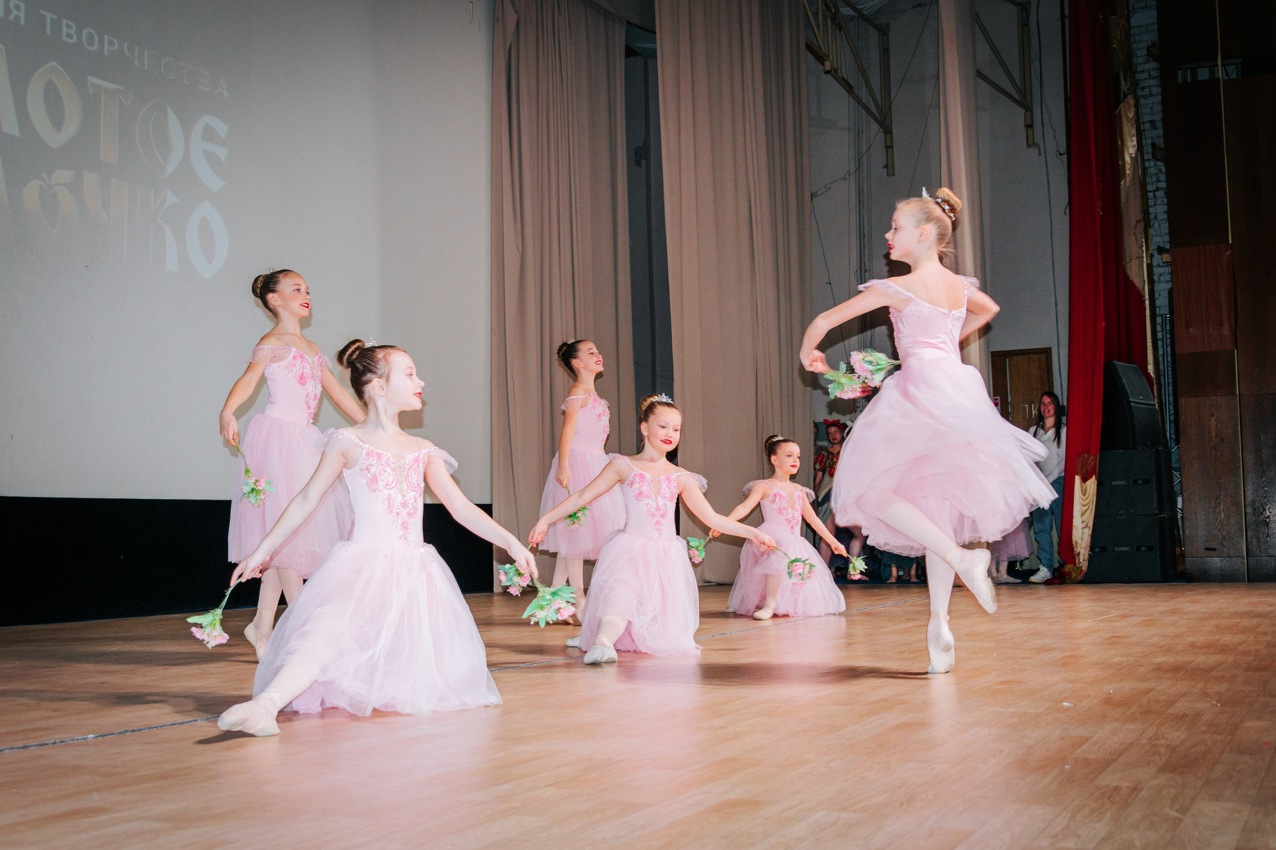 16 марта, г. Суздаль. Золотое яблочко