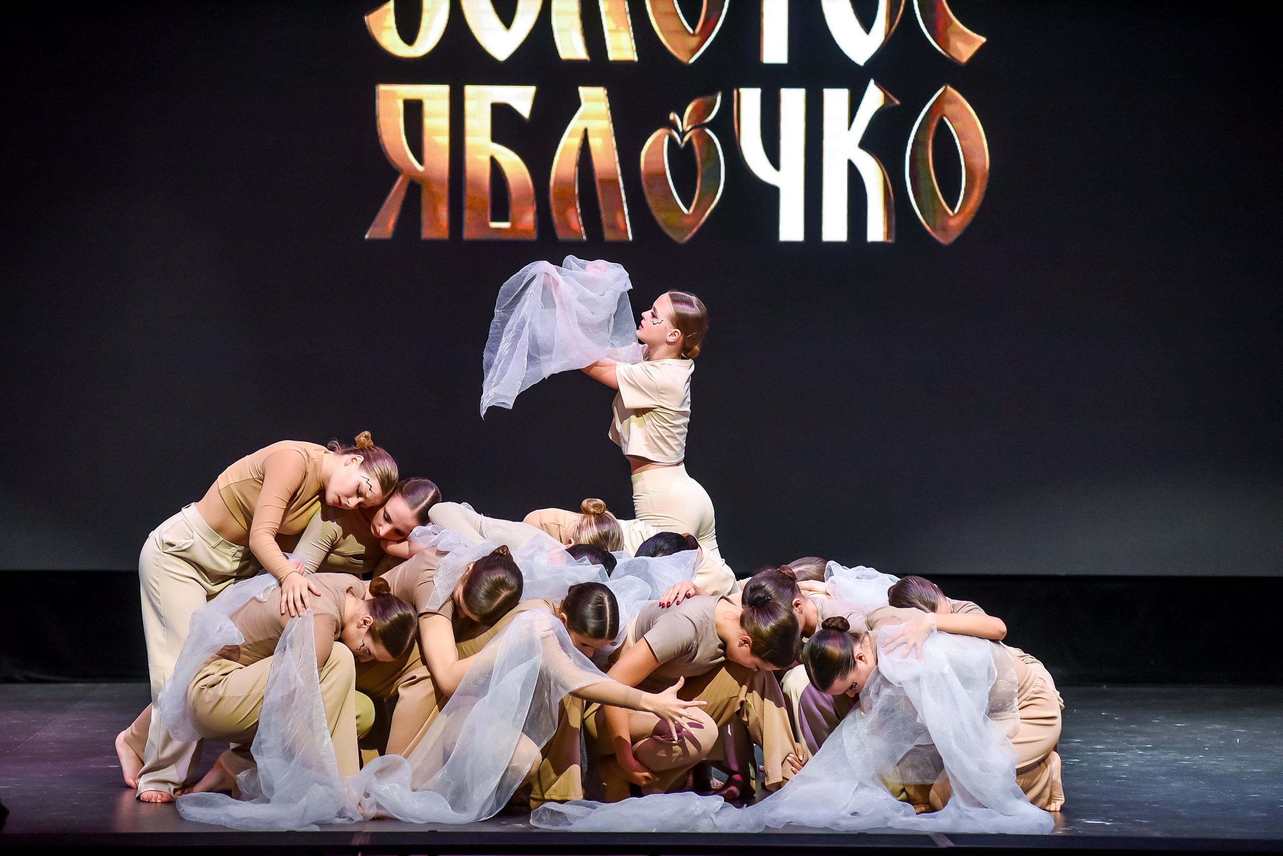 3 ноября, г. Казань. Золотое яблочко