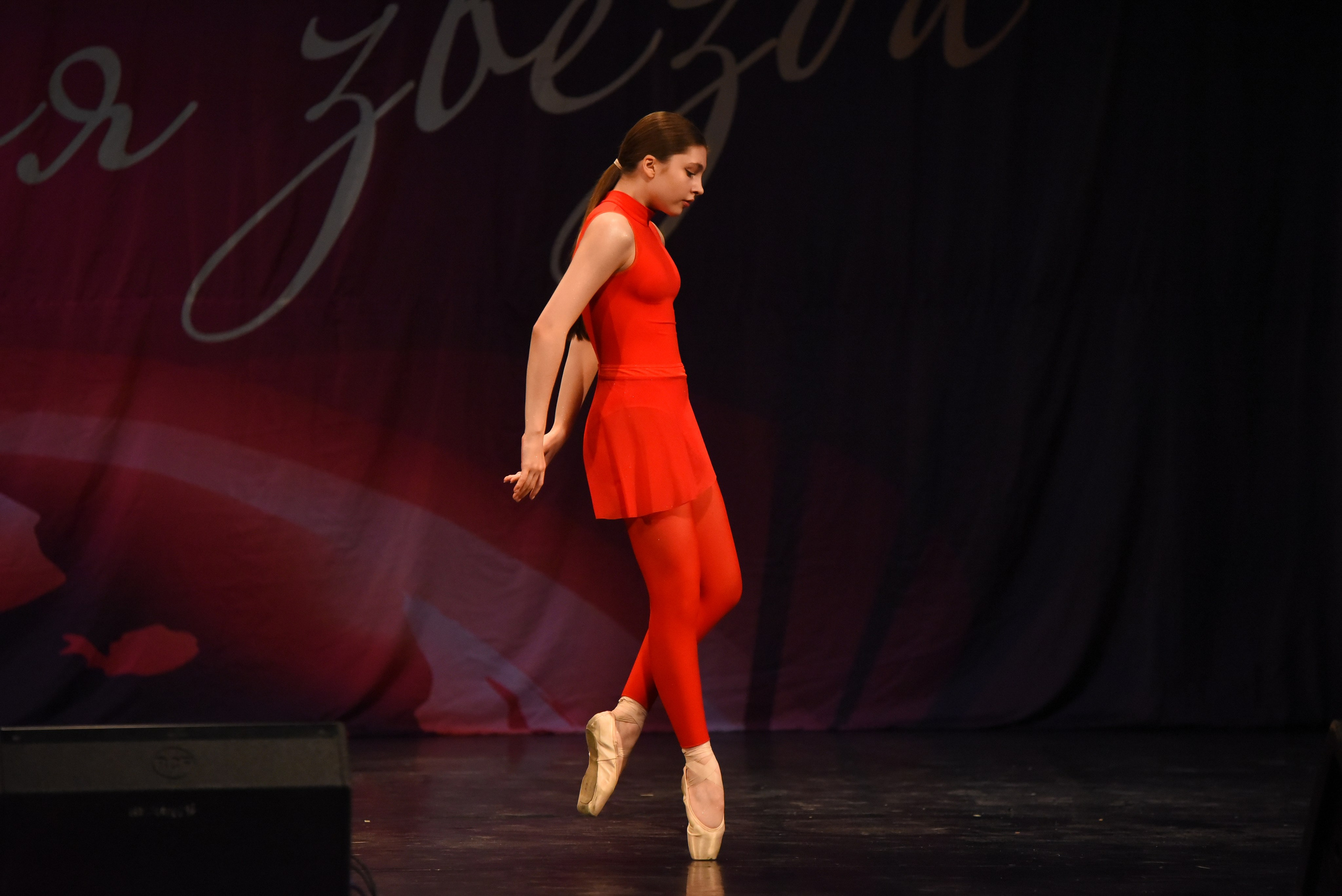 13 декабря, г. Калининград. Золотое яблочко