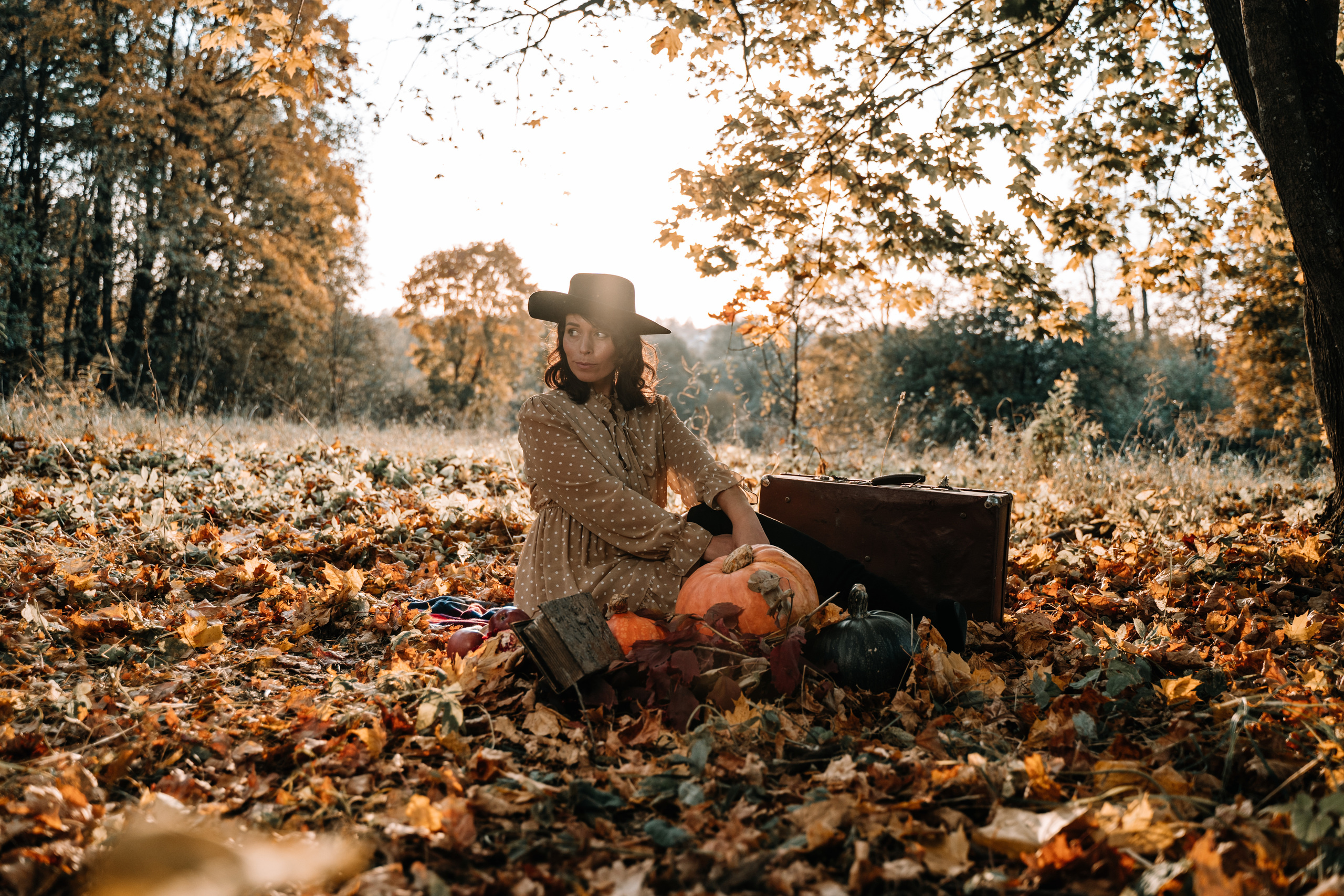 Индивидуальная. PROmedia