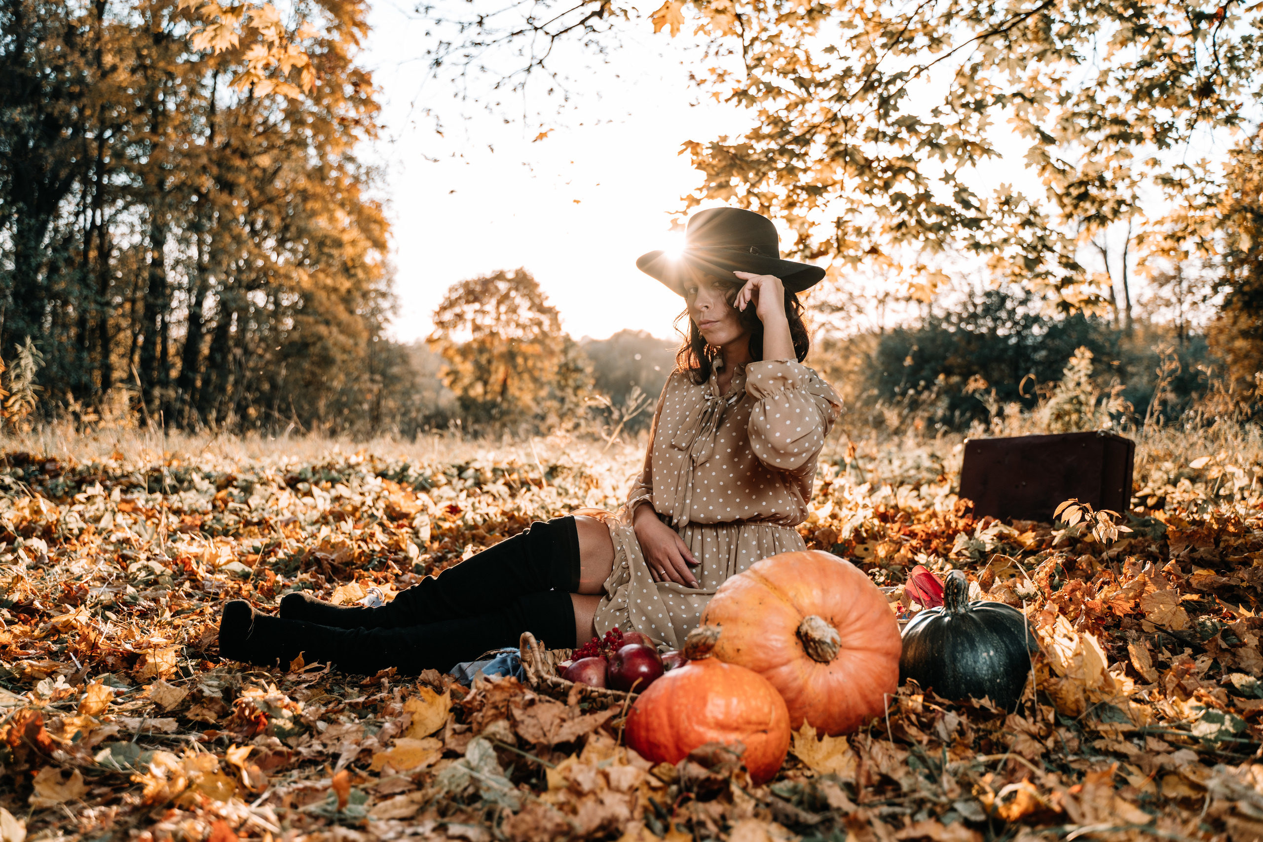 Индивидуальная. PROmedia