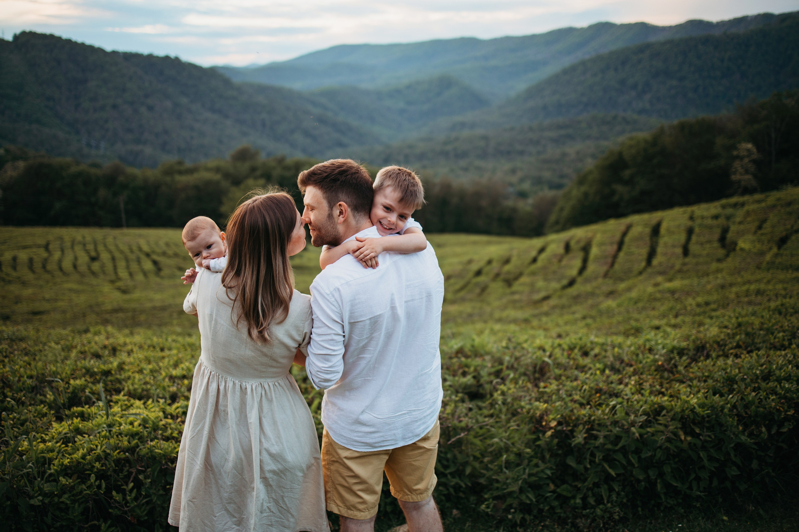 Чайные плантации мацеста. Фотограф Сочи Татьяна Зорина