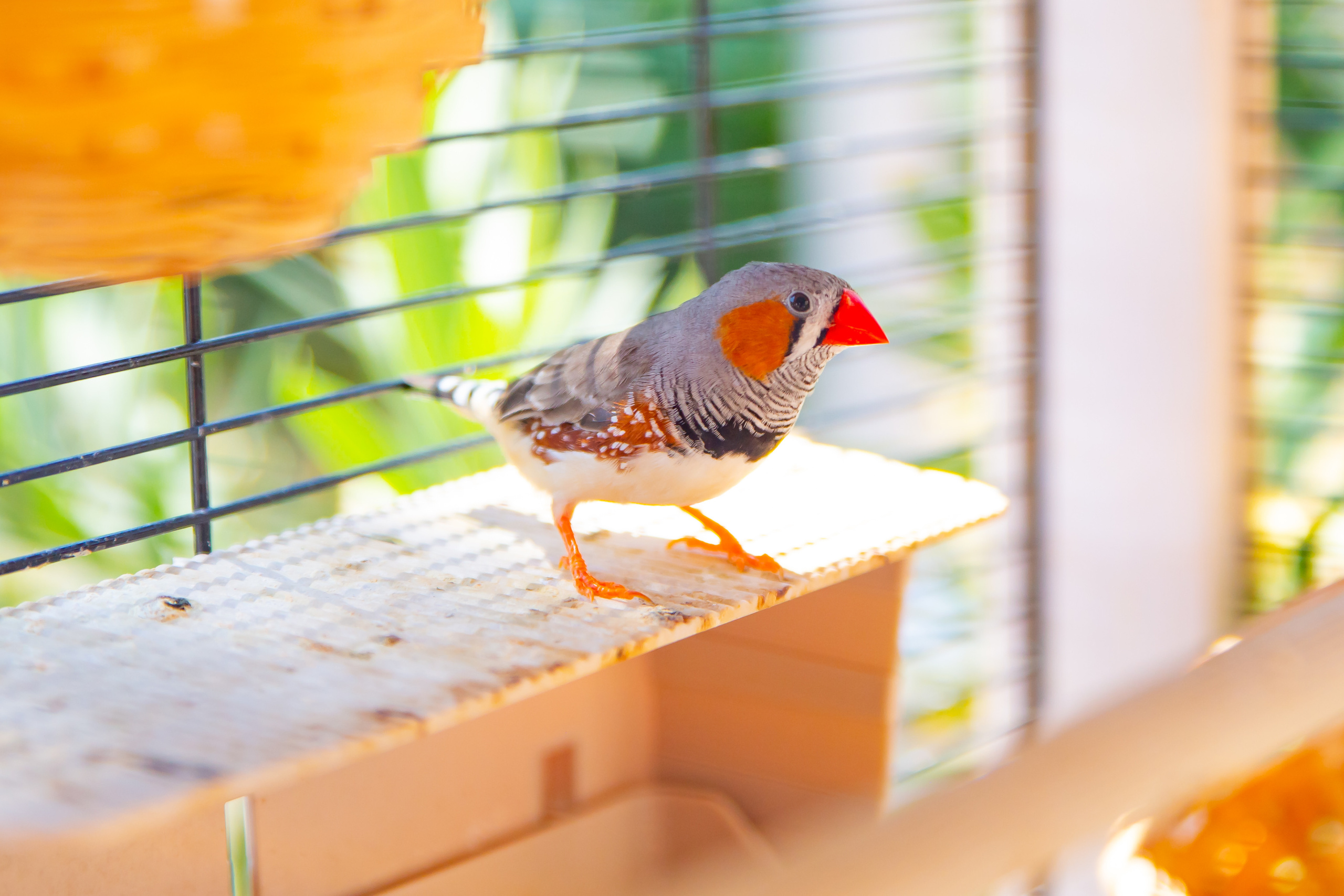 Интерьерная съемка. Фотограф в Феодосии Наталья Булгакова