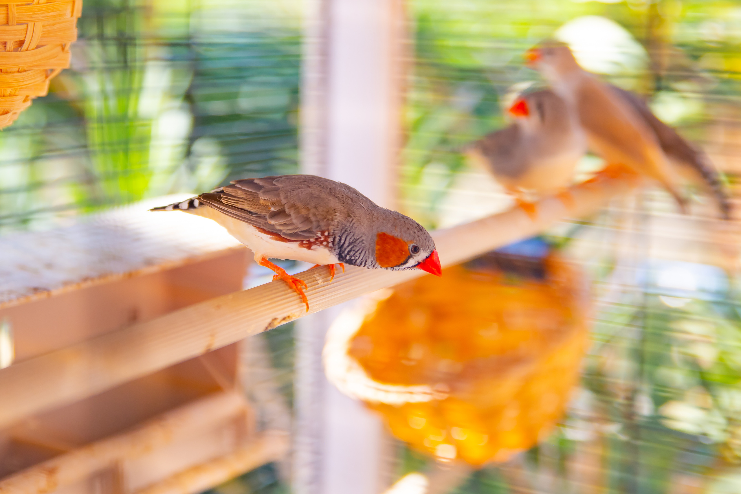 Интерьерная съемка. Фотограф в Феодосии Наталья Булгакова