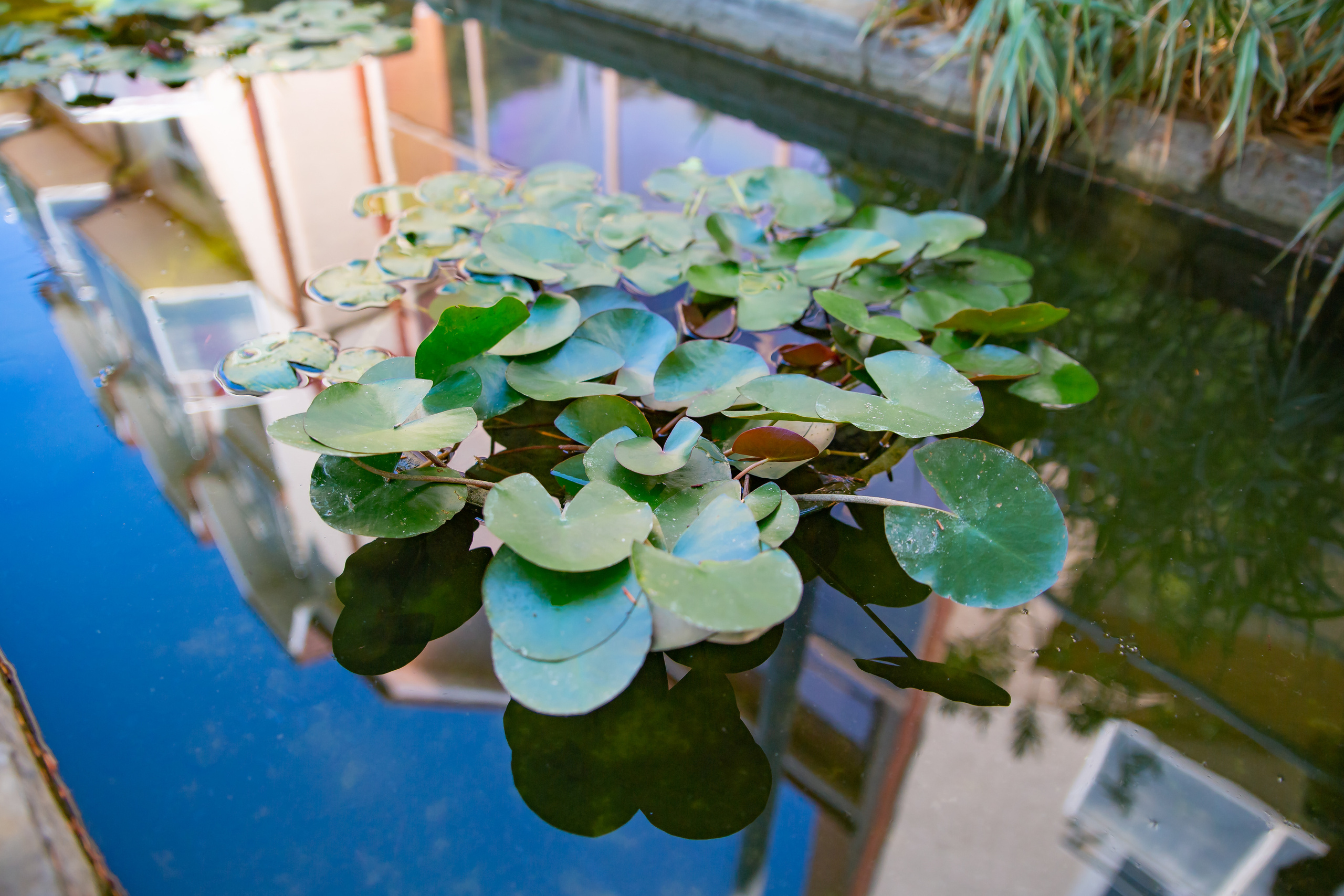 Интерьерная съемка. Фотограф в Феодосии Наталья Булгакова