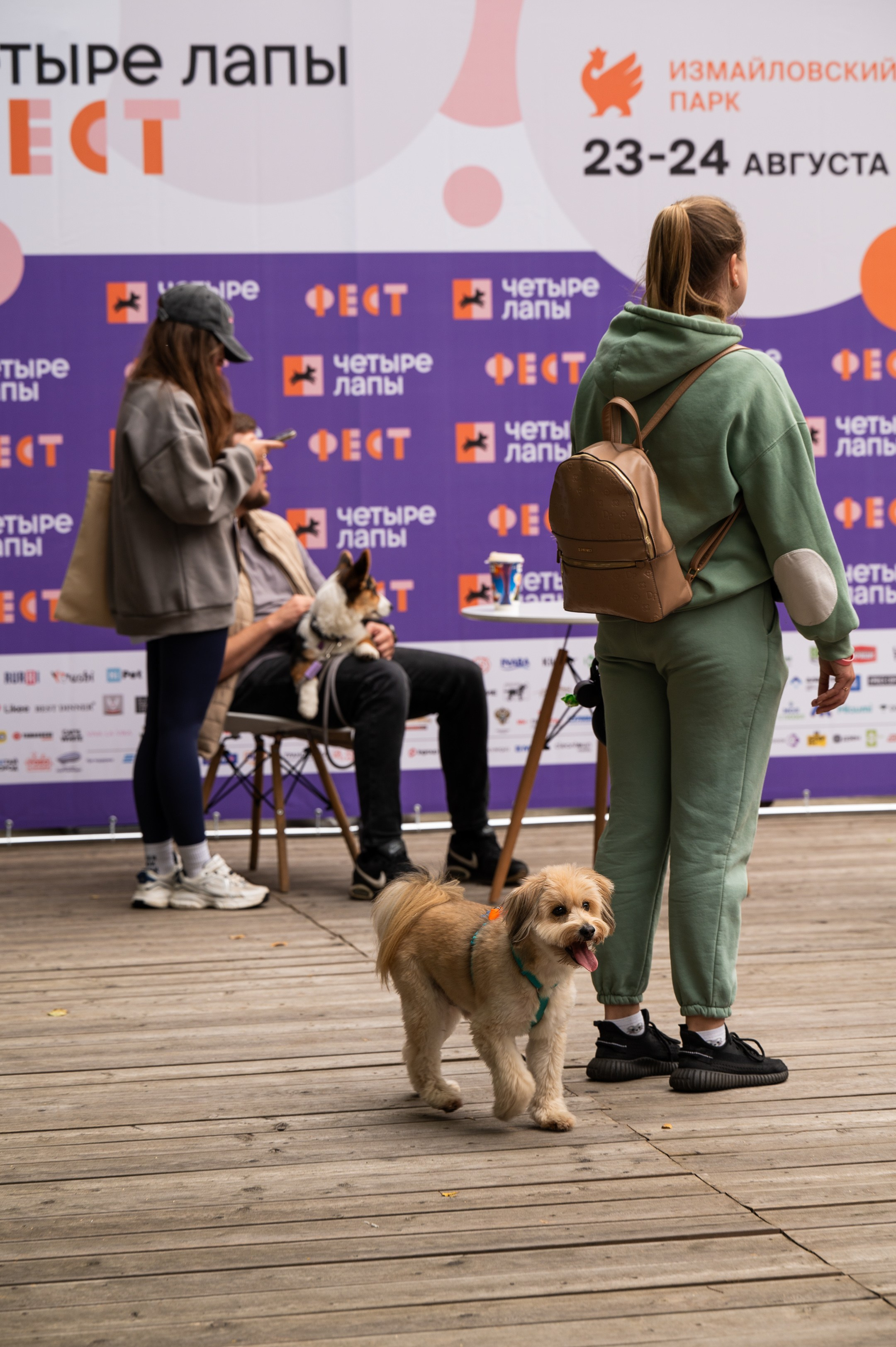 4lapy fest 2025. Photographer in Moscow Anna Chistiakova