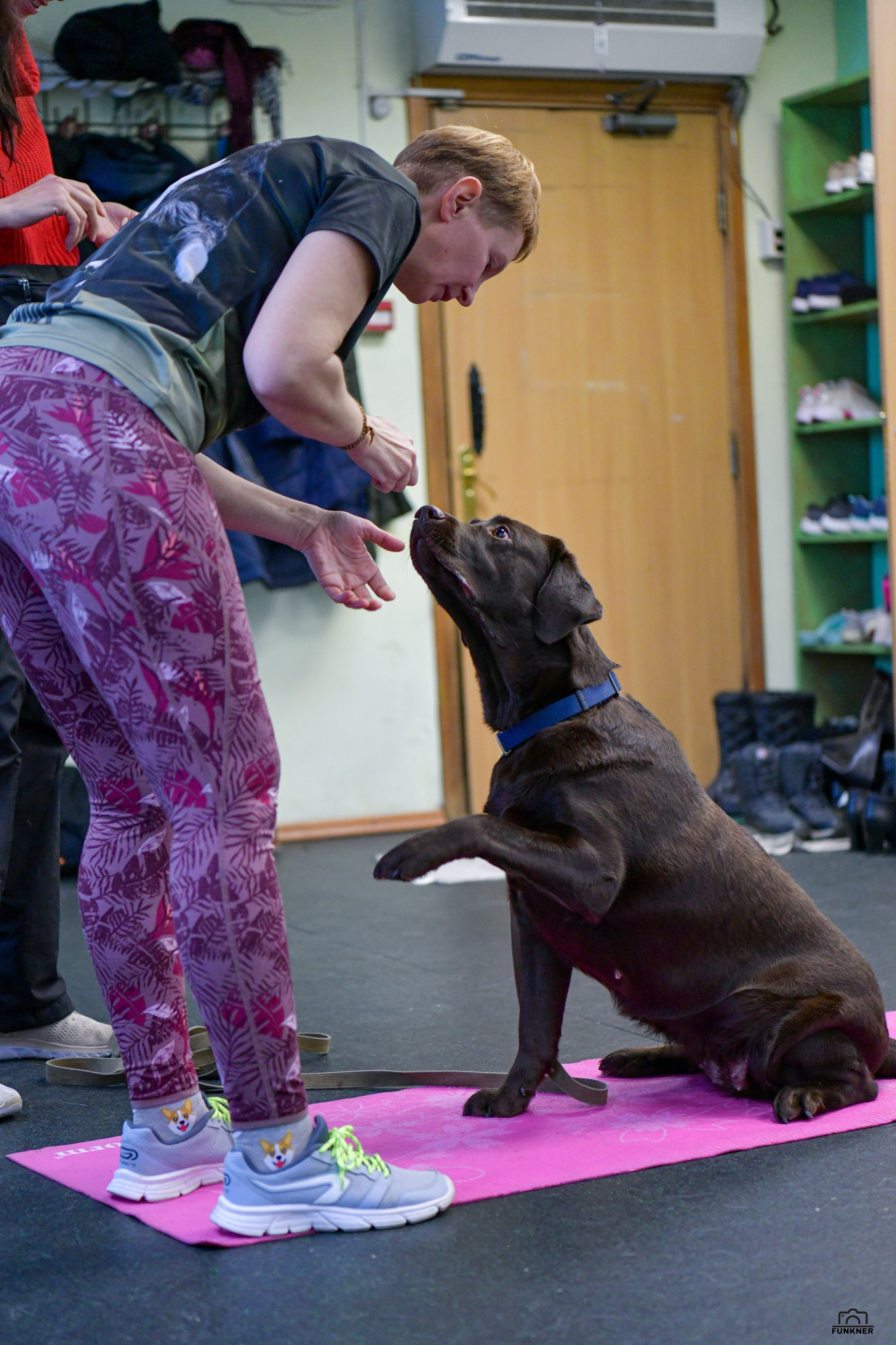 Кинологический клуб «Бодрый хвост». Свой взгляд через объектив