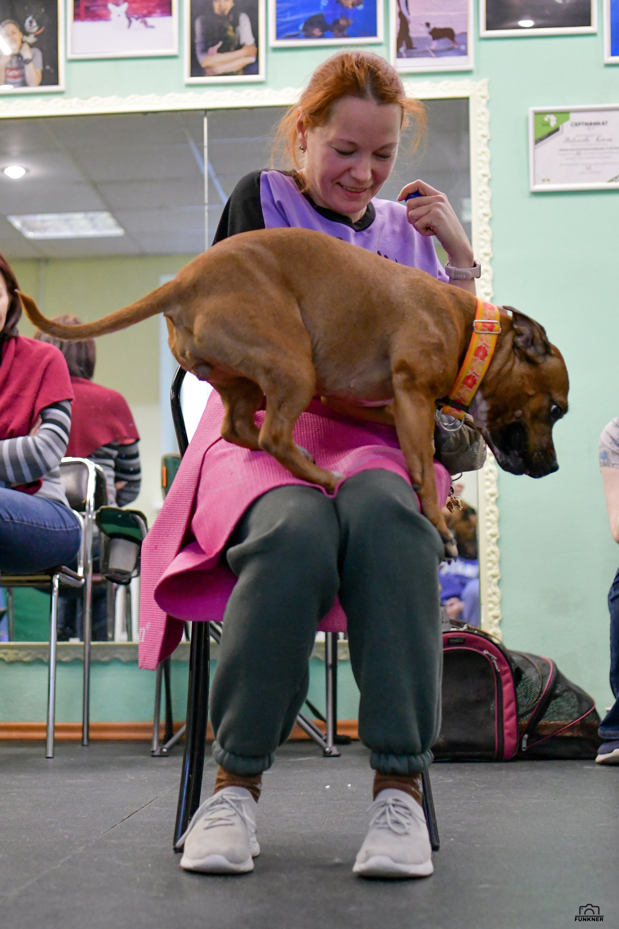 Кинологический клуб «Бодрый хвост». Свой взгляд через объектив
