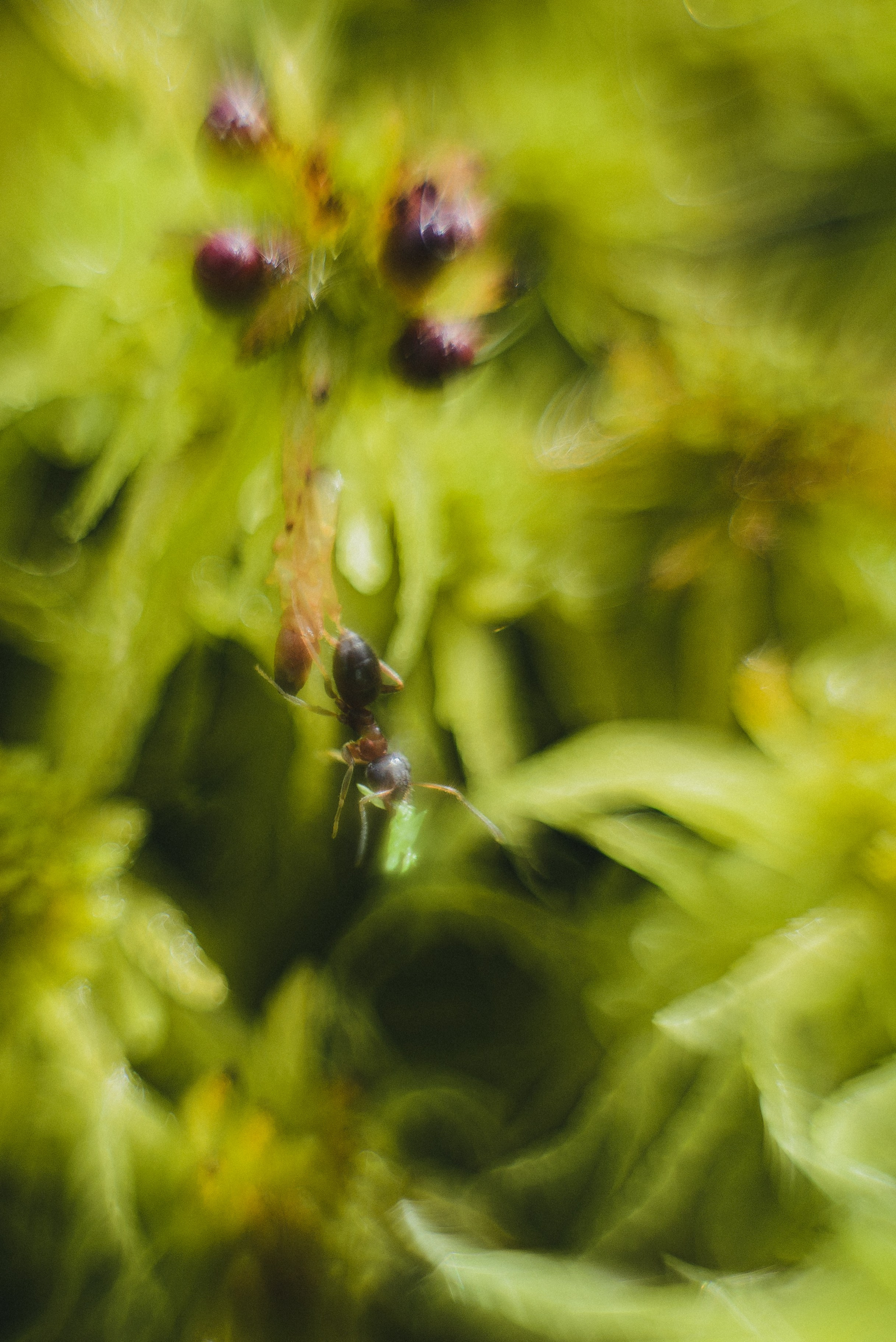 Фотопленэр на болоте. Фотообъединение Самарского областного отделения Союза журналистов России
