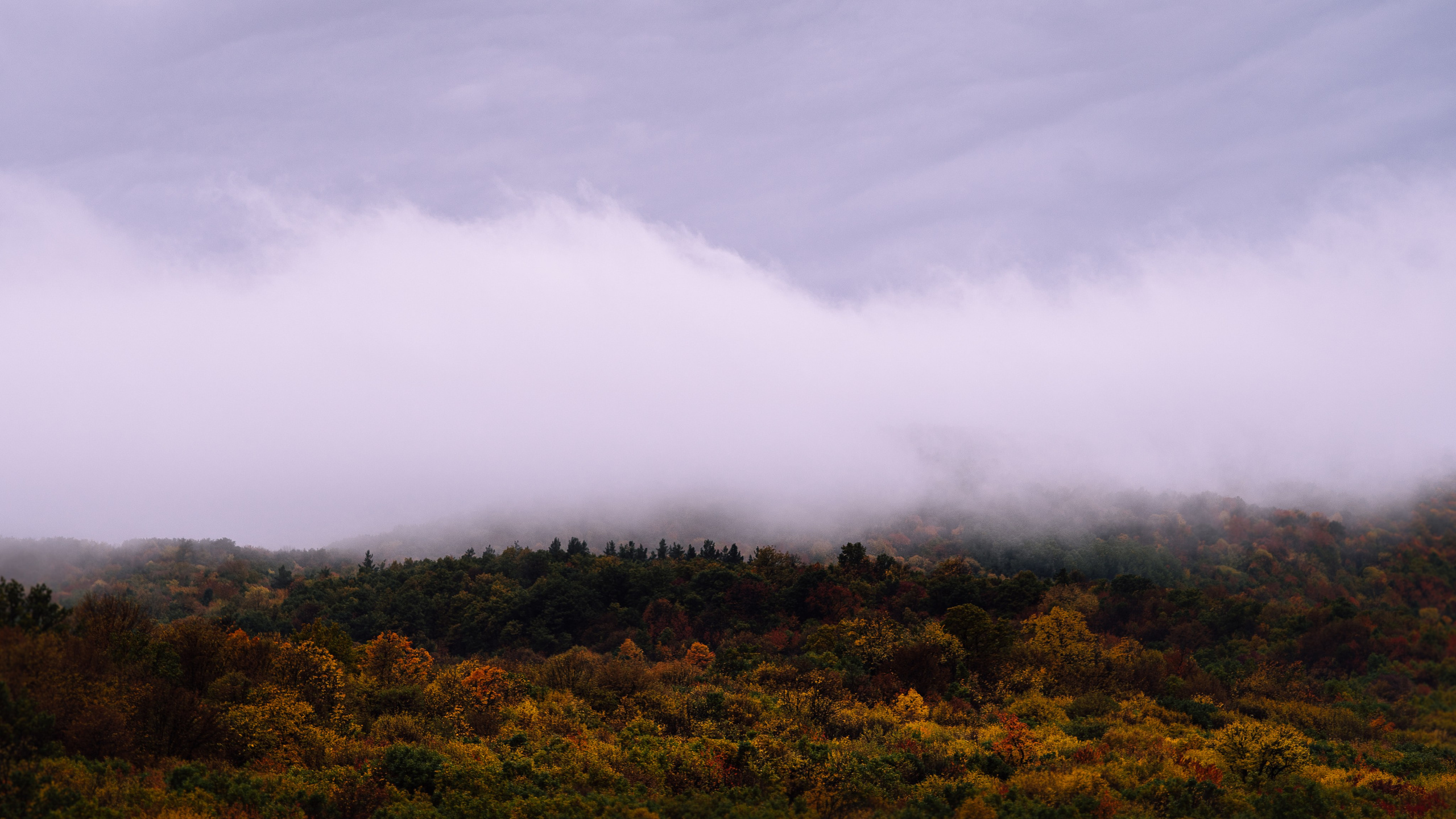 Landscapes. Oleg Kozachok — Photographer with Protanopia | Portraits, Texture & Light