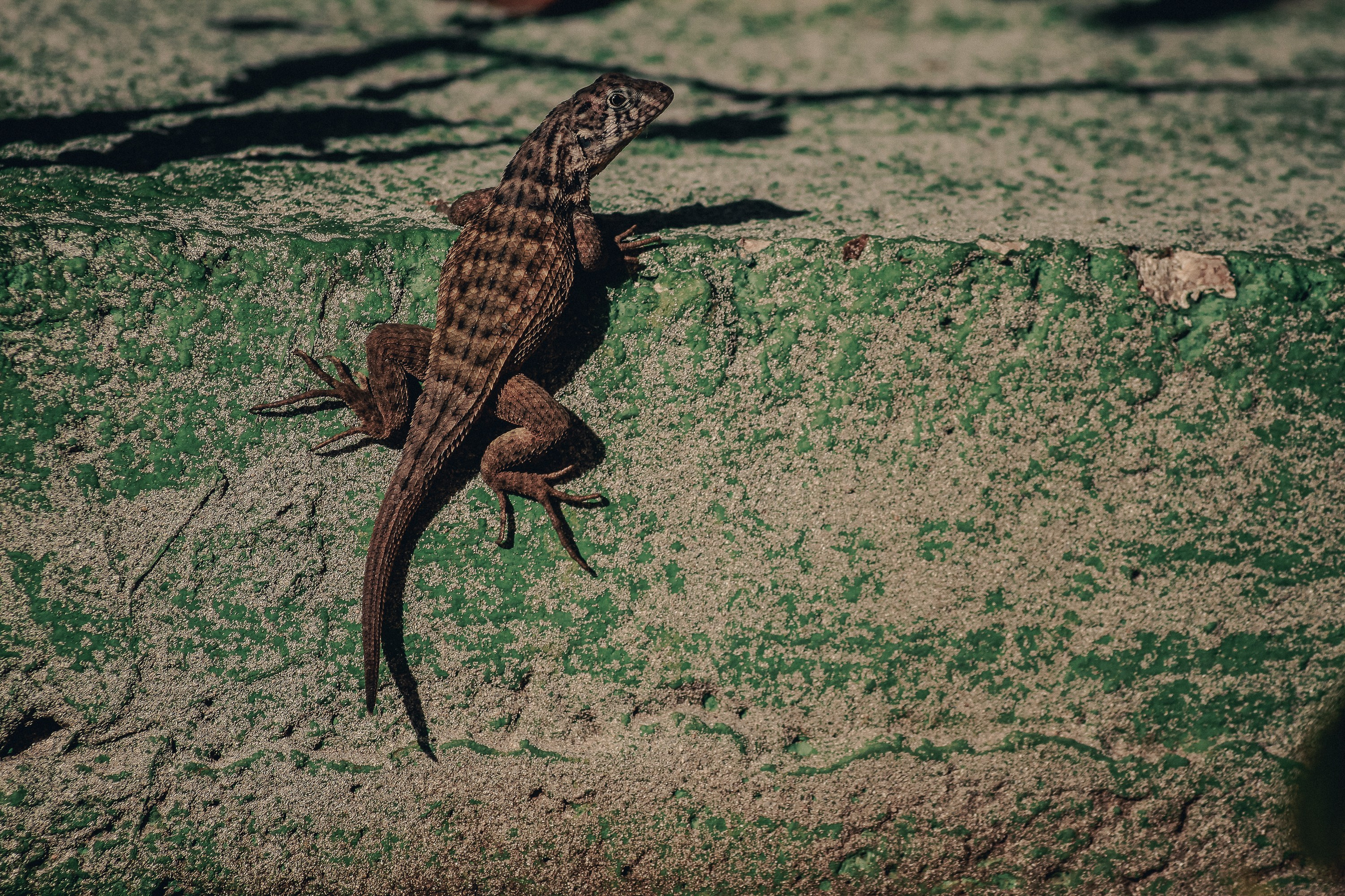 Куба. Фотошкола ArtFotoLife для начинающих и продвинутых фотографов