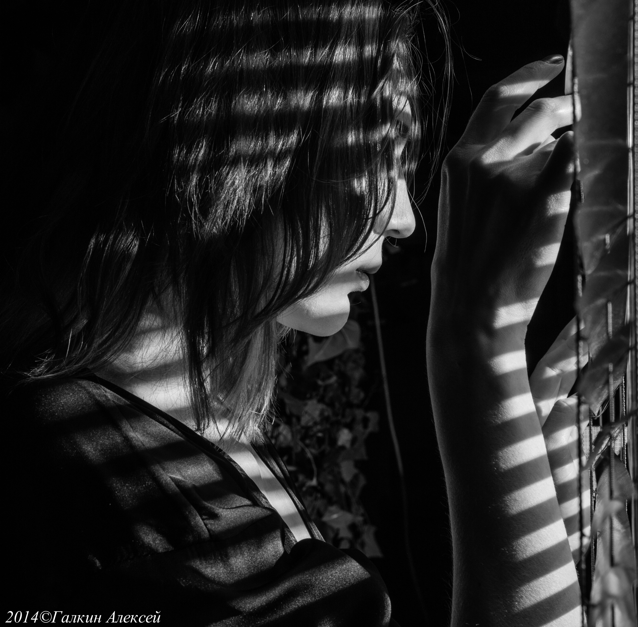 Фотосессии. Свадебный и семейный фотограф в Москве