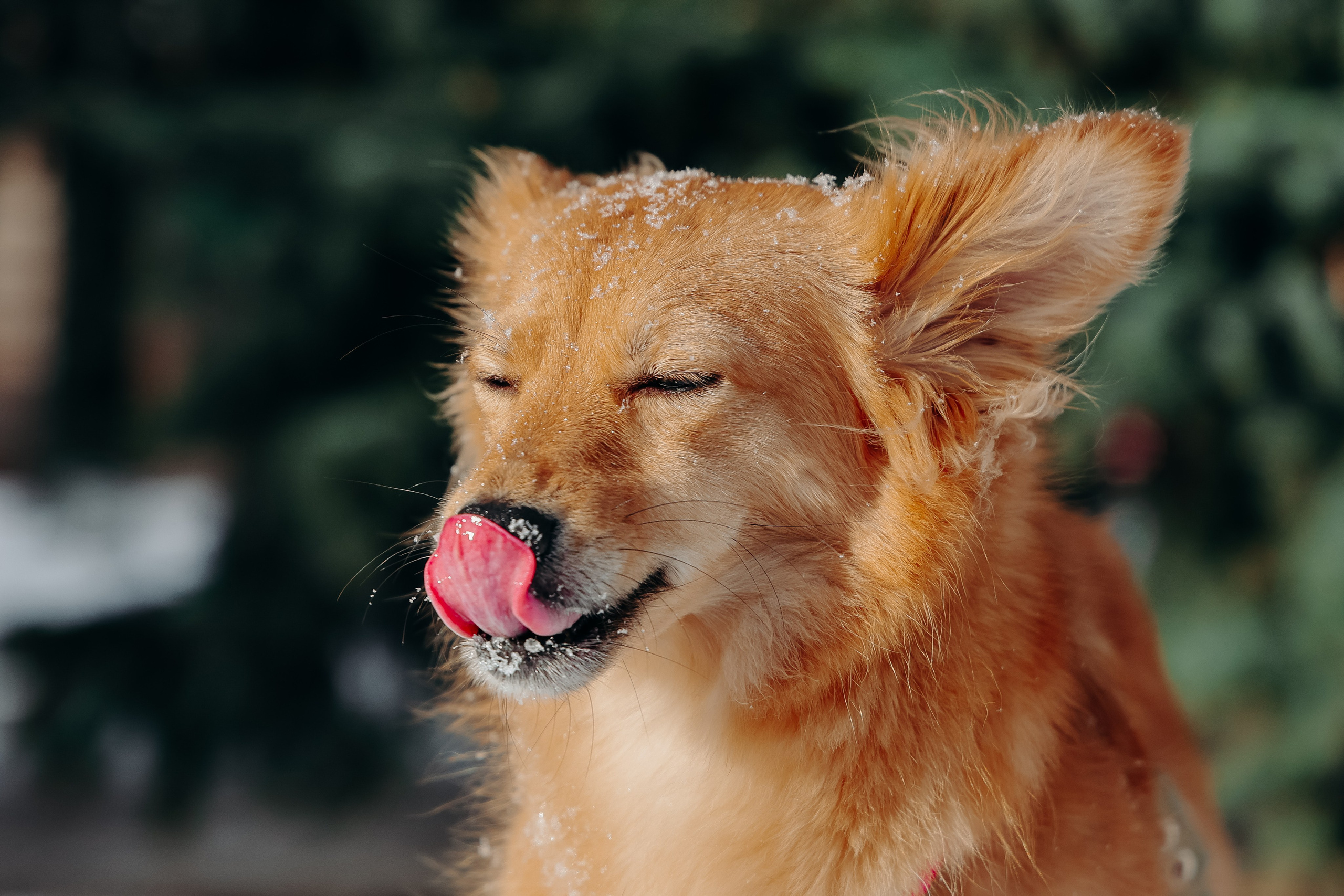 Кнопа. Валерия Гуртовая | Фотограф, Санкт-Петербург