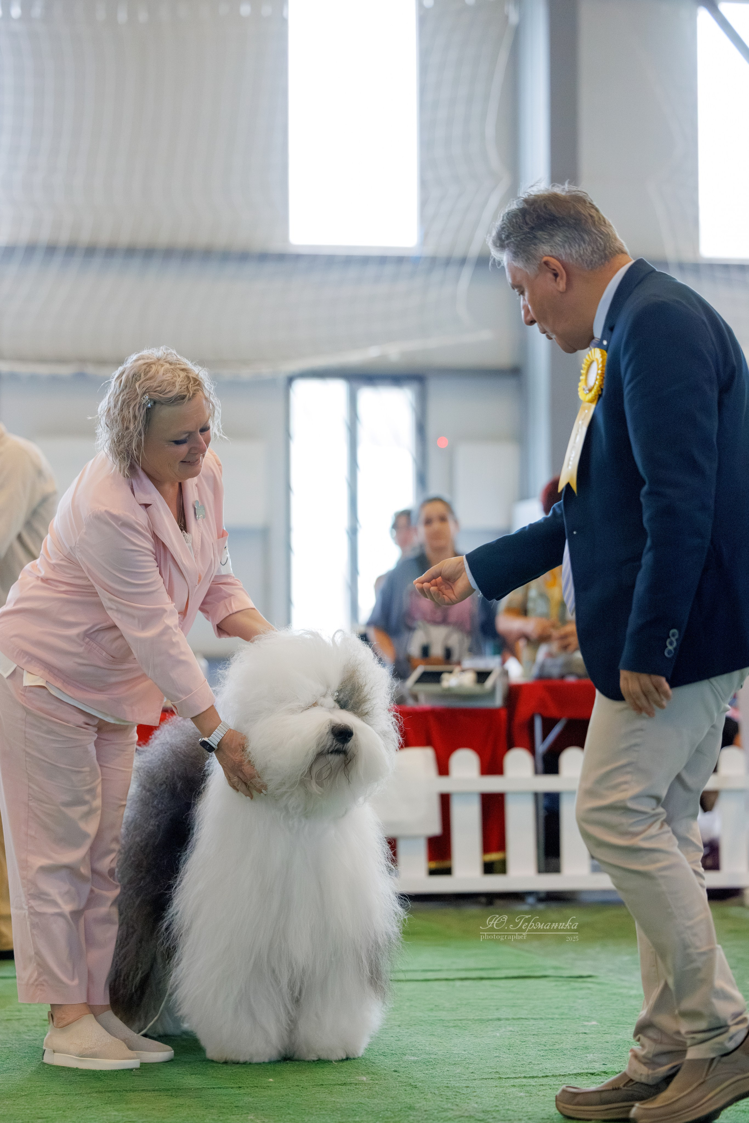 Батуми 3хCACIB 27-29.06.2025. Фотограф-анималист Юлия Германика